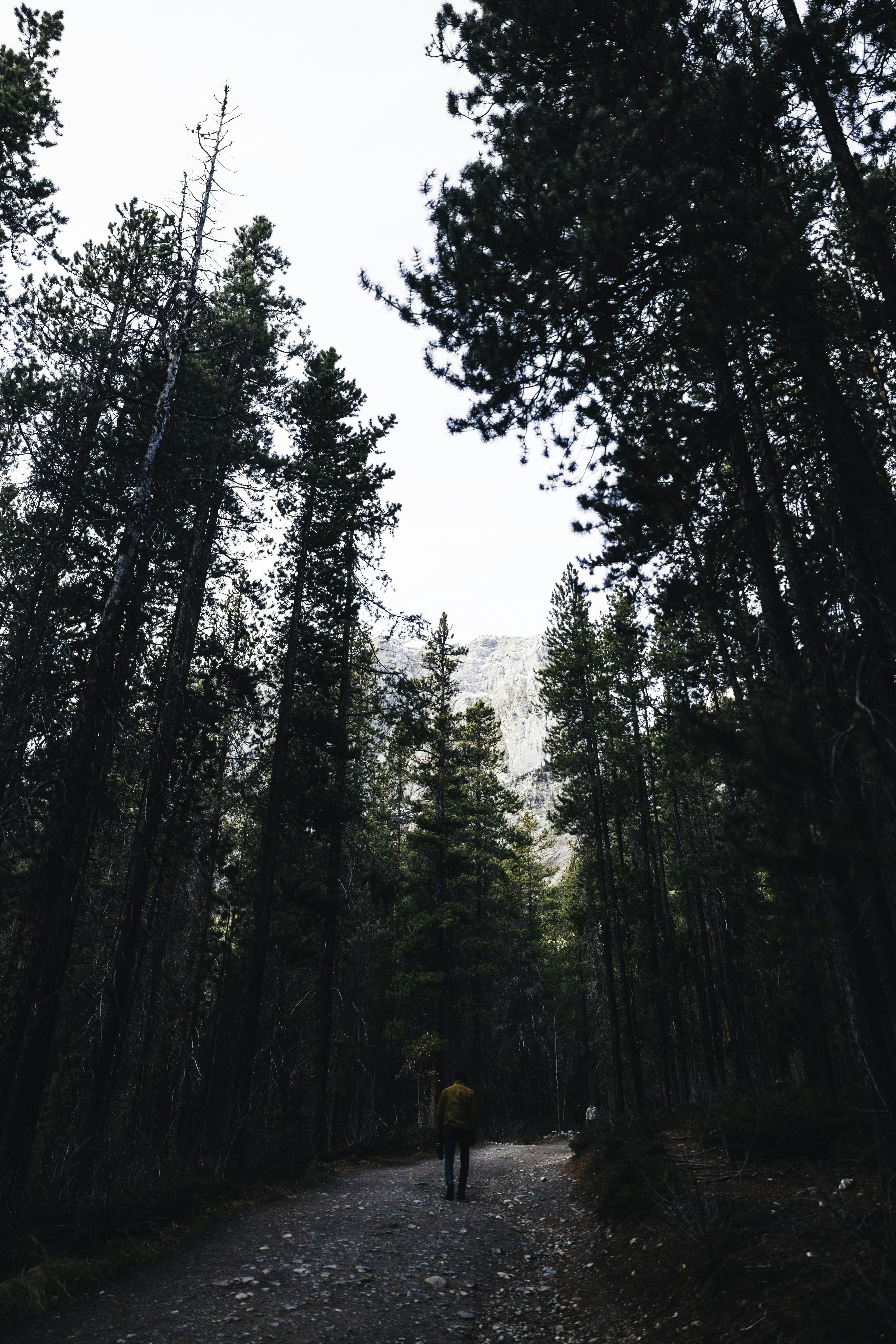 Photo by lureofadventure