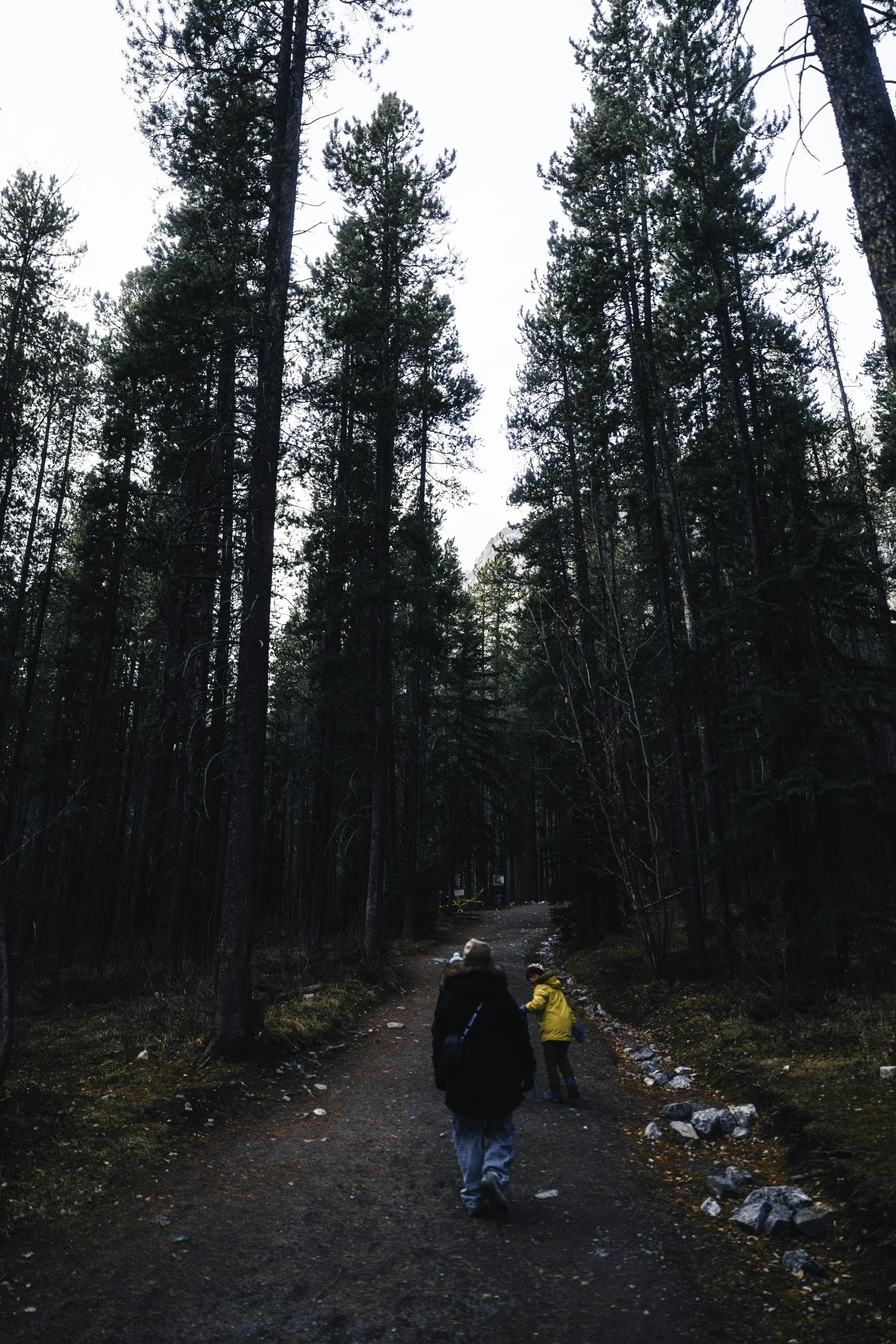 Photo by lureofadventure