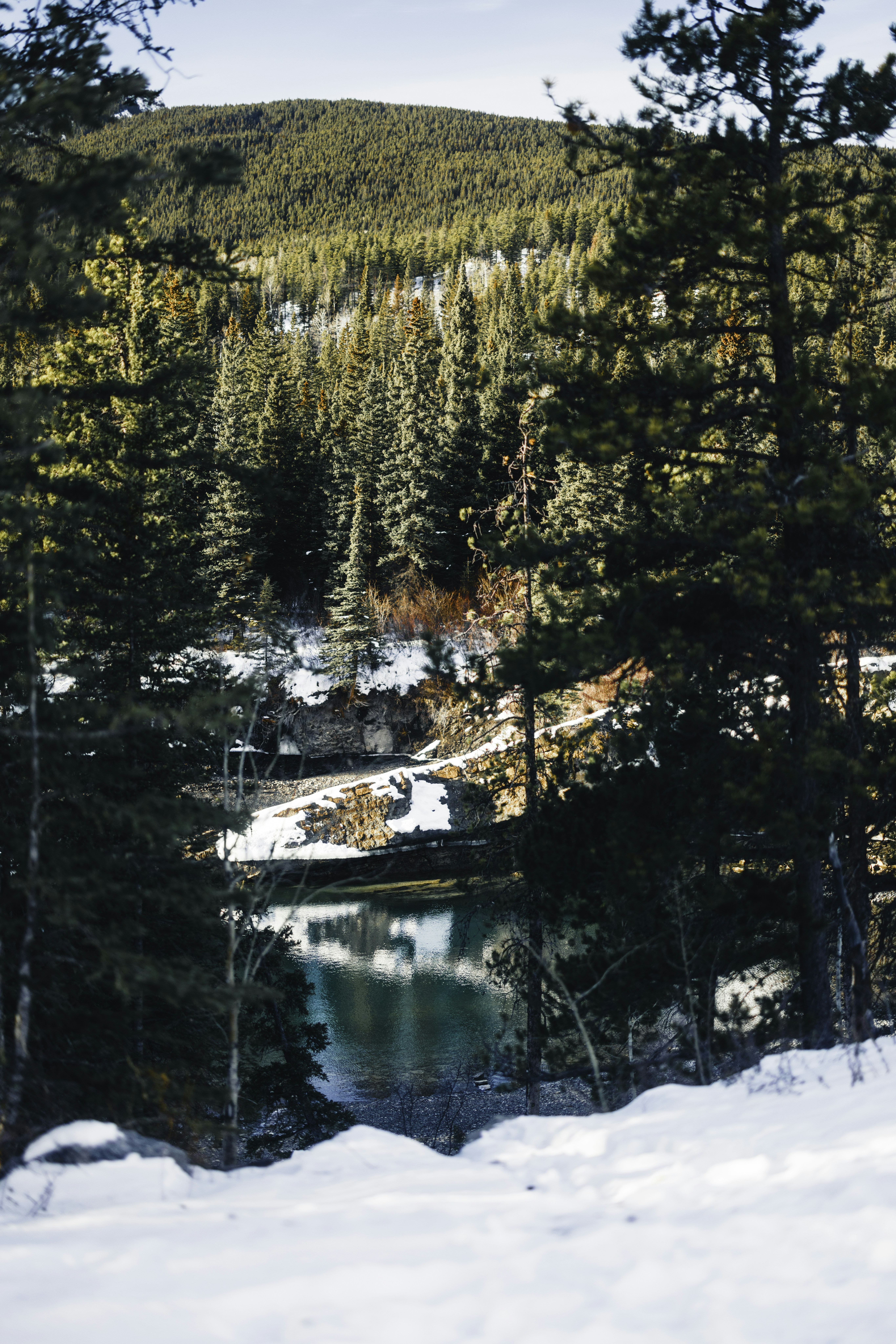 Snowy forest landscape with a calm lake