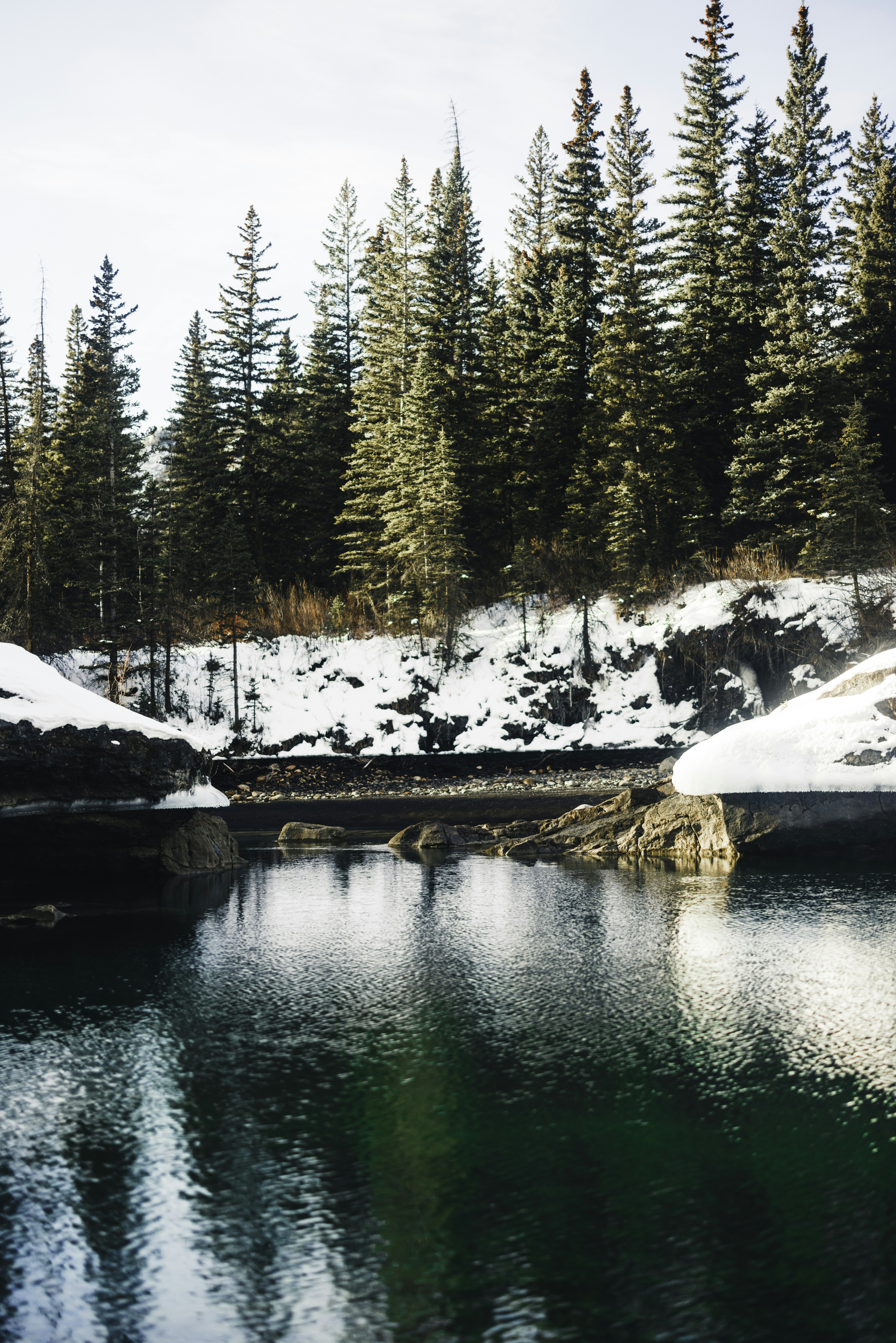 A calm river flows through a snow-covered forest.