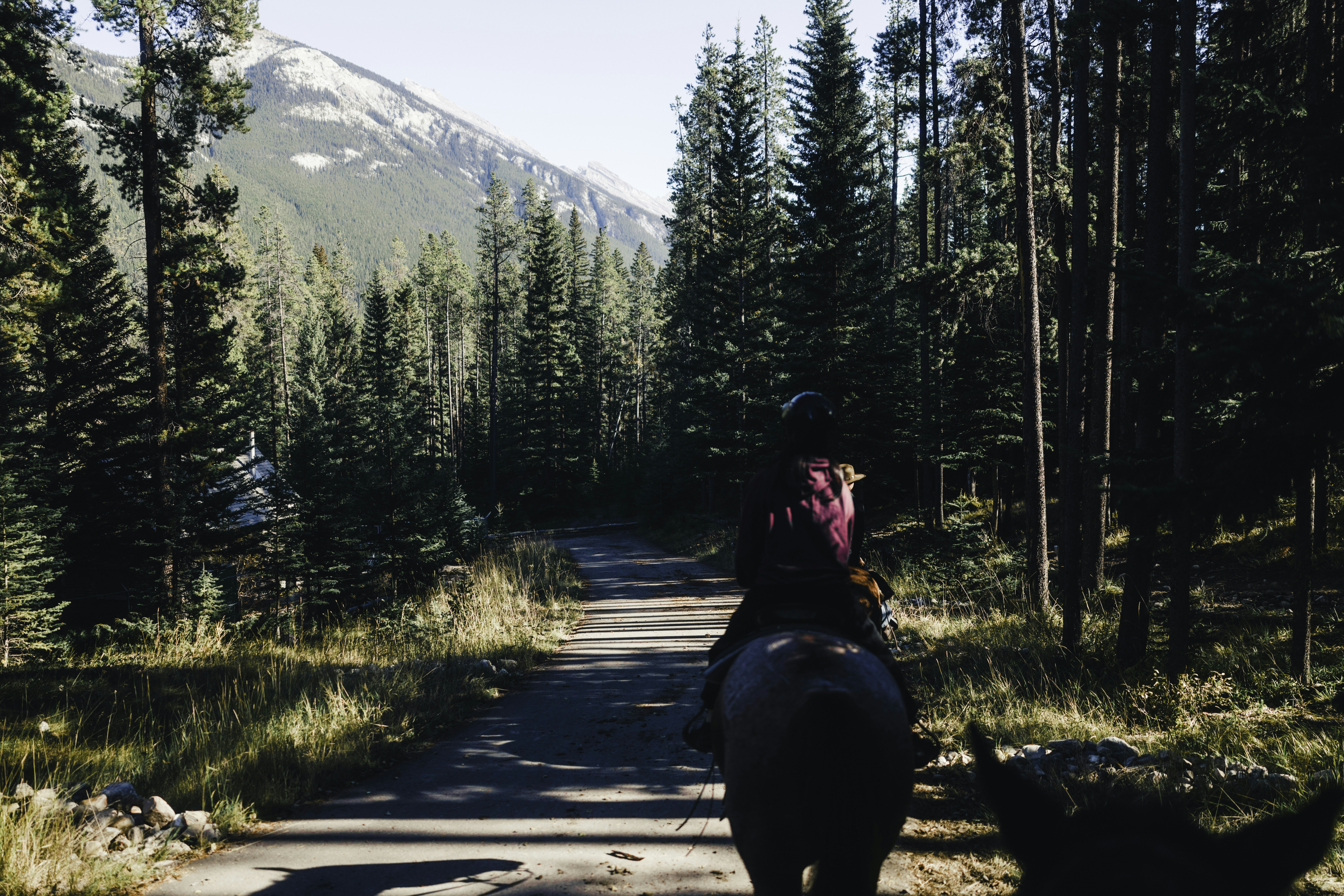 Photo by lureofadventure