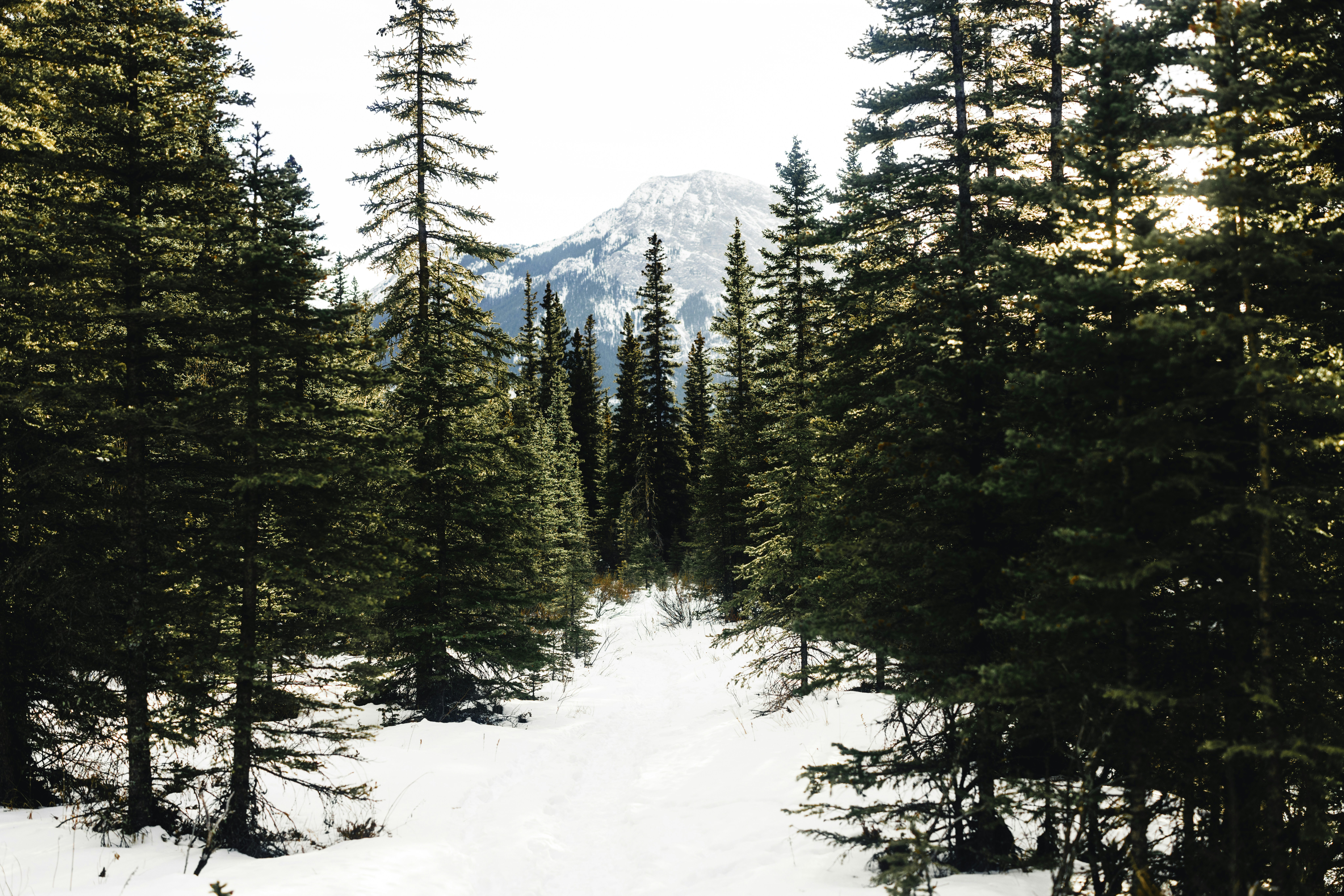 Photo by lureofadventure