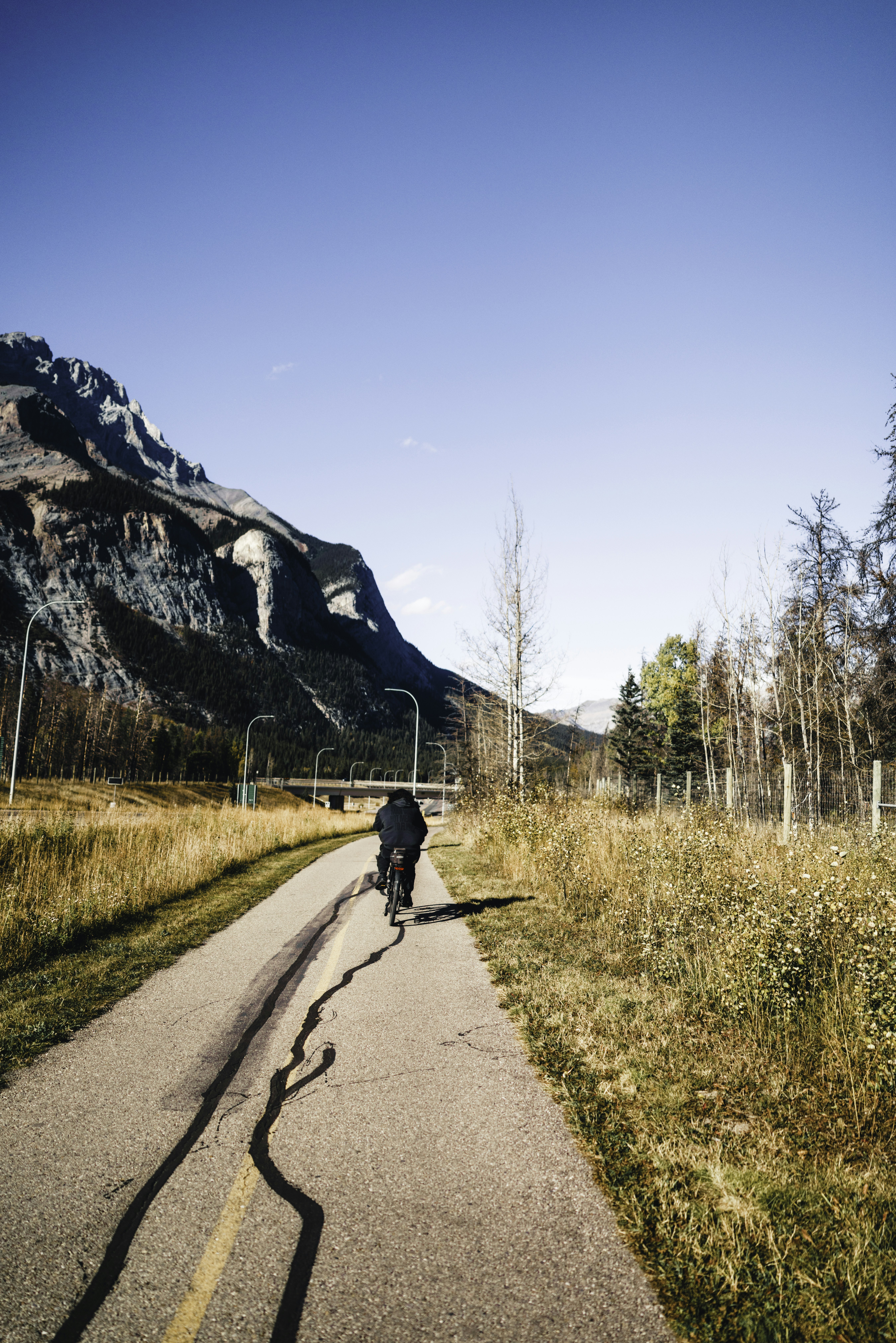 Person riding a bicycle on a paved path.