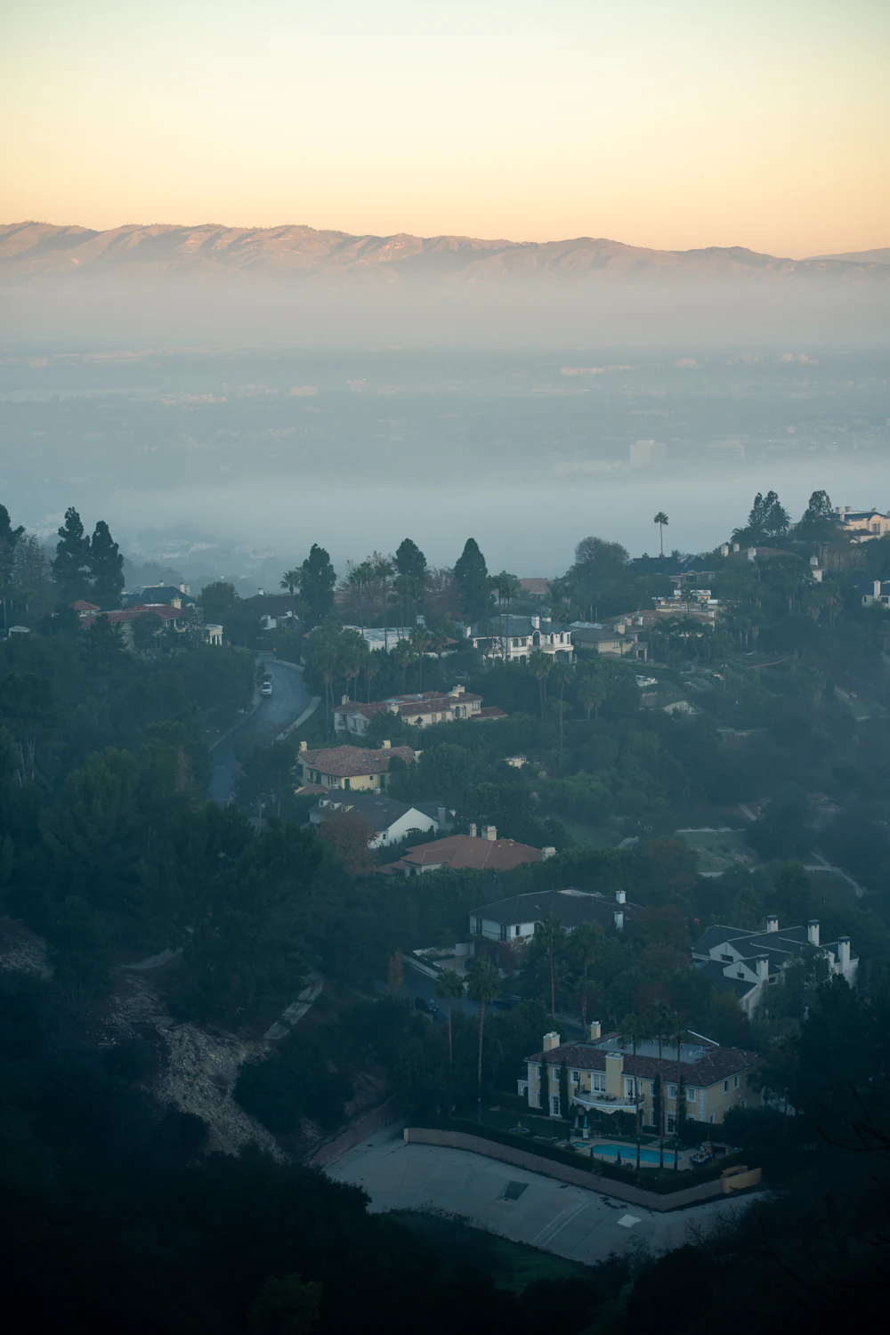 Hillside neighbourhood of houses and trees