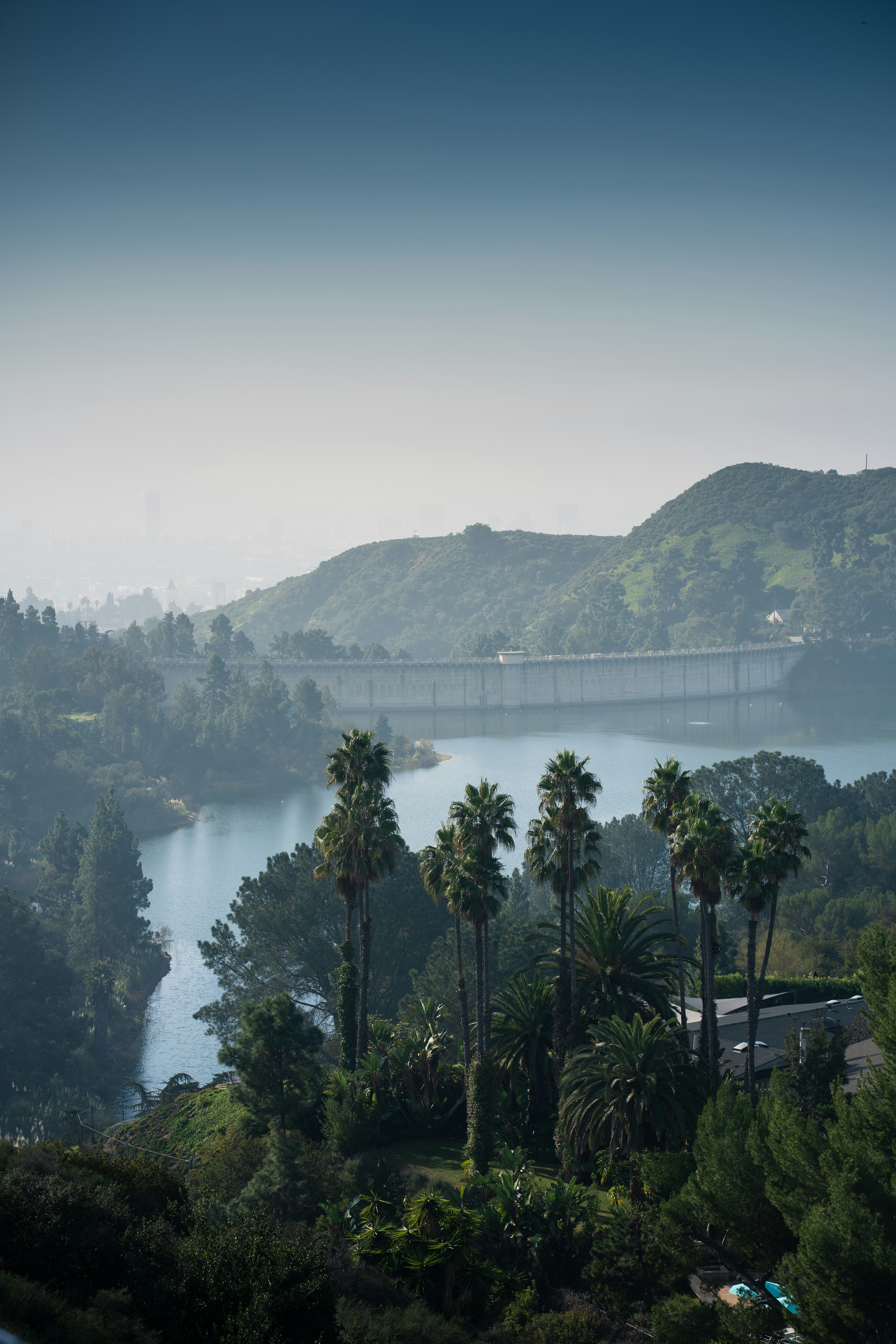 Palm trees overlook a serene lake and distant dam.