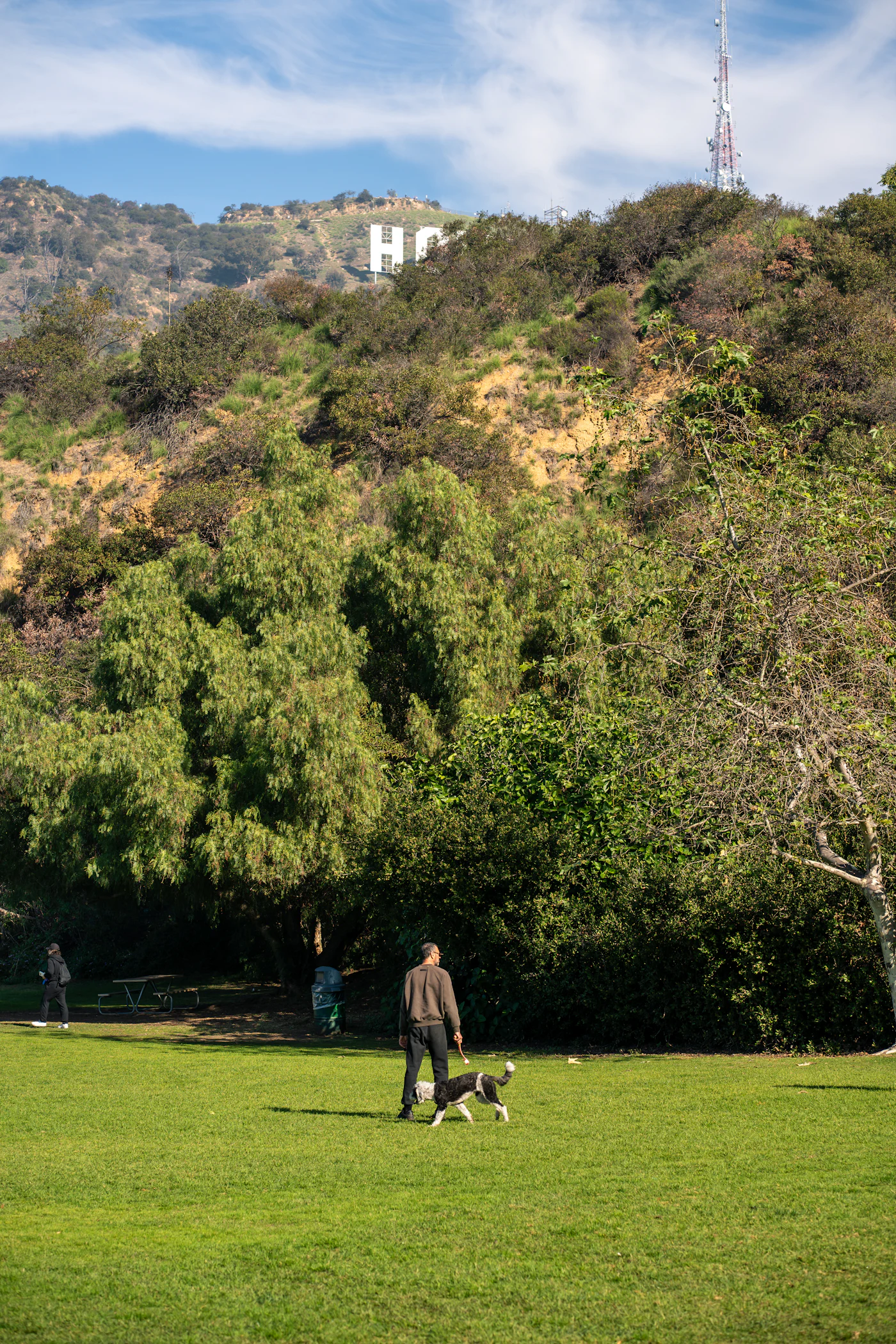 A dog on a trail in Los Angeles with the Hollywood Sign and the city skyline behind