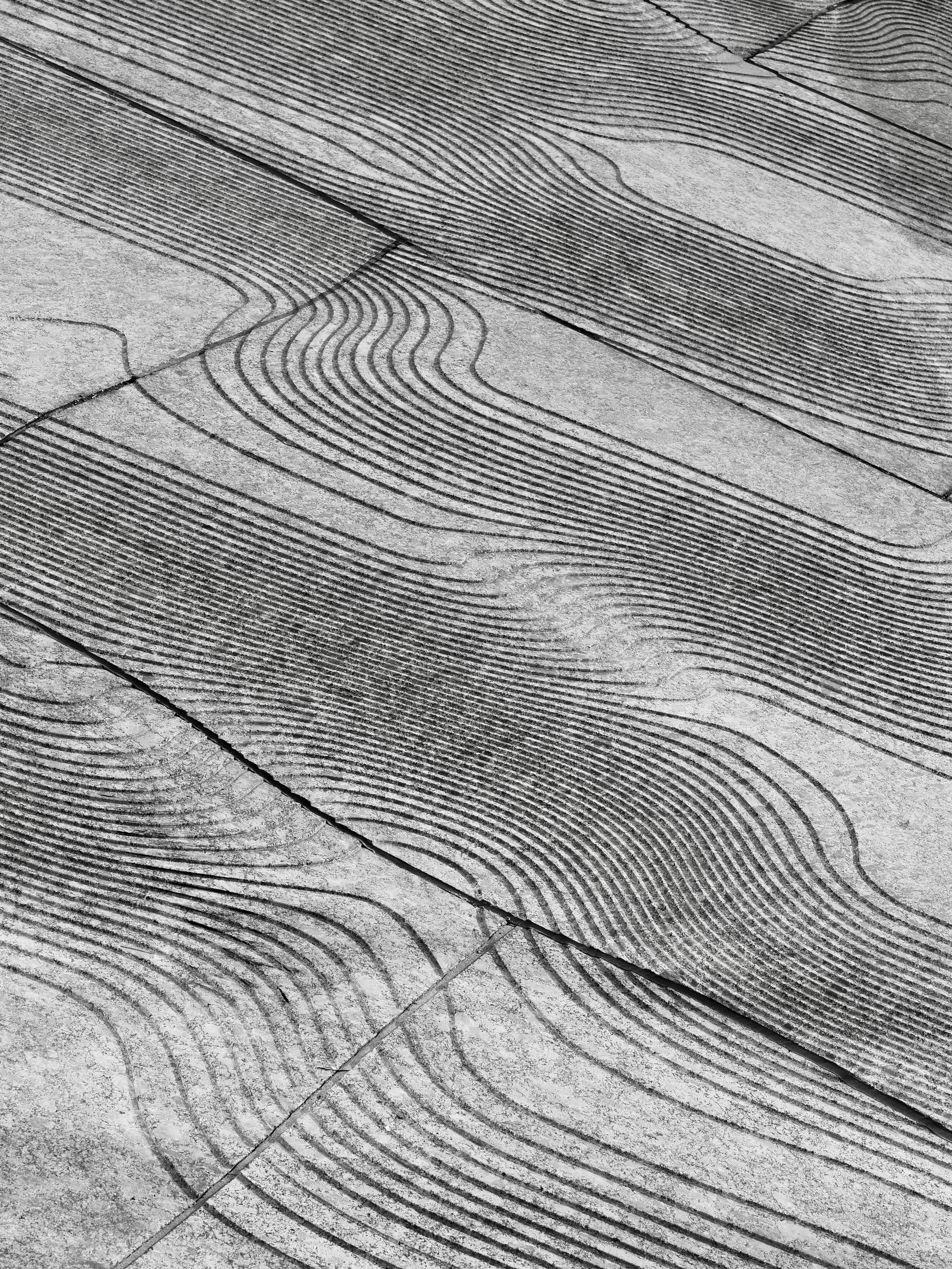 Photo by sschusterphotoart