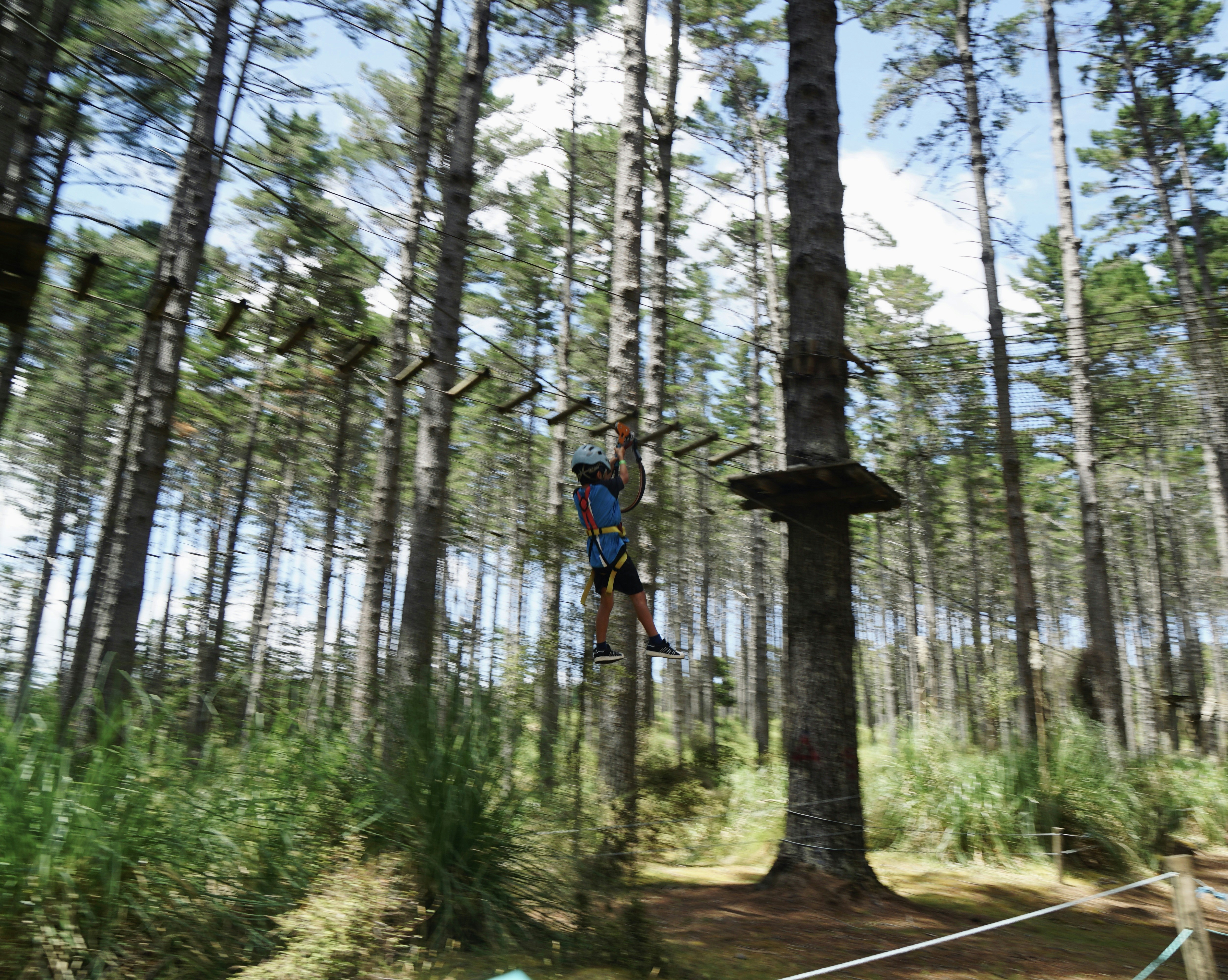 Catamount Aerial Adventure Park