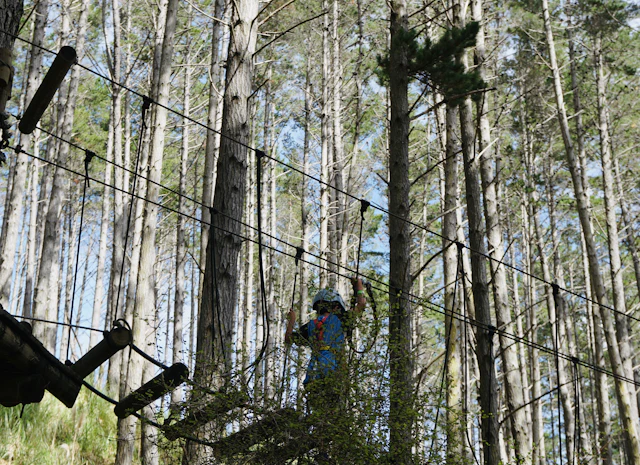 Klimmer op een hoog touwparcours in het bos