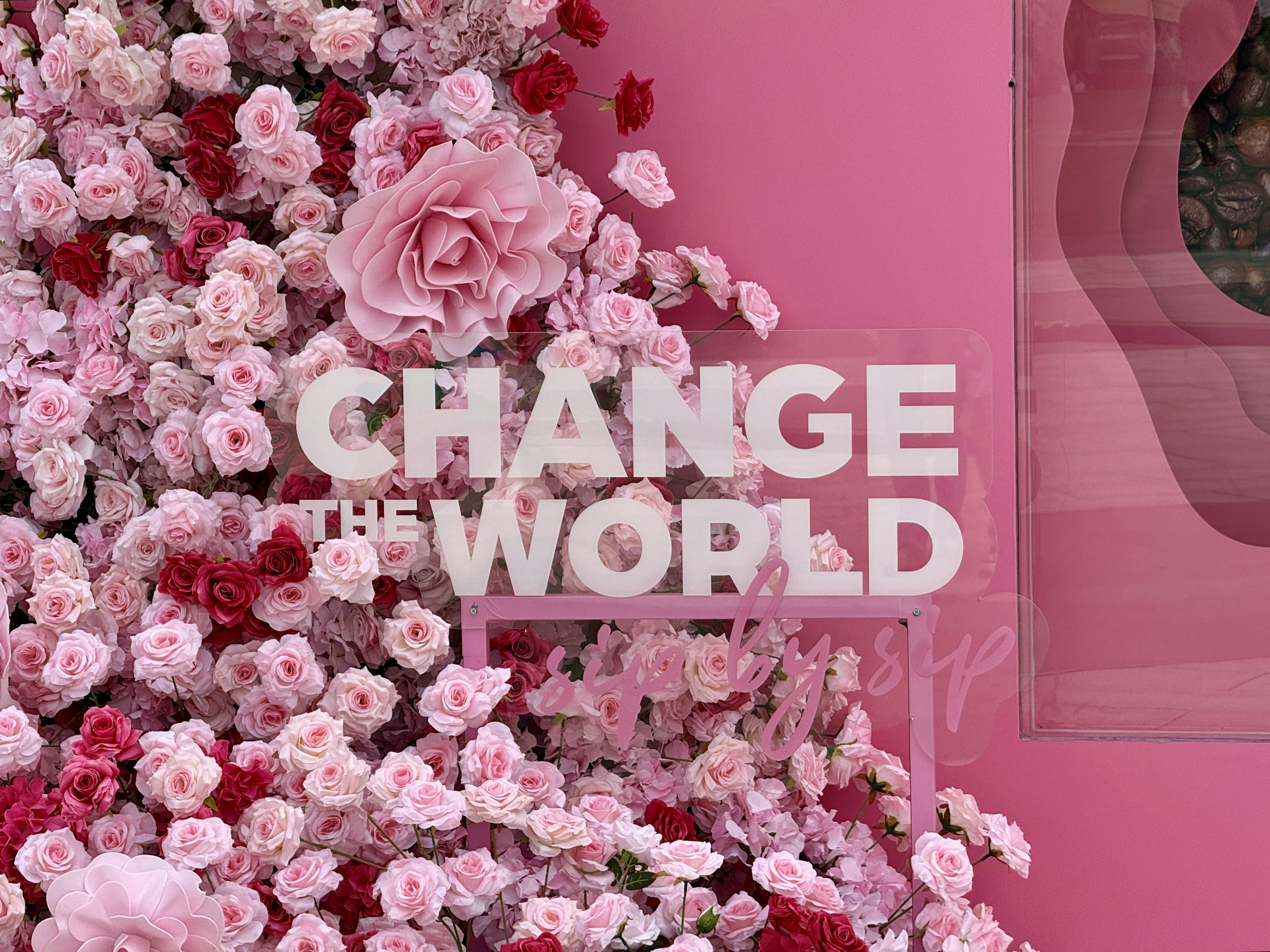 Pink flowers surround white text reading "change the world".