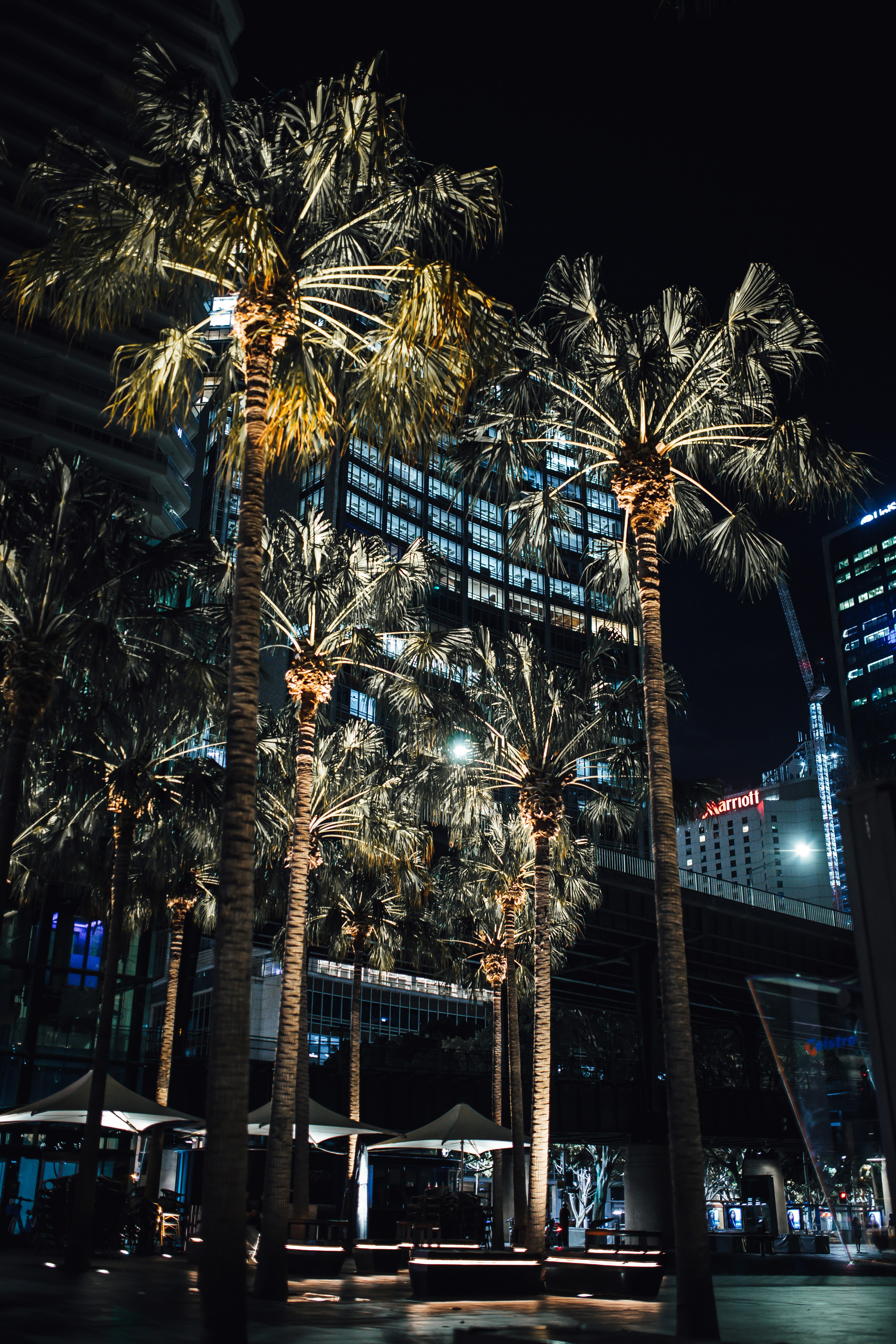 Photo by angus_buchanan