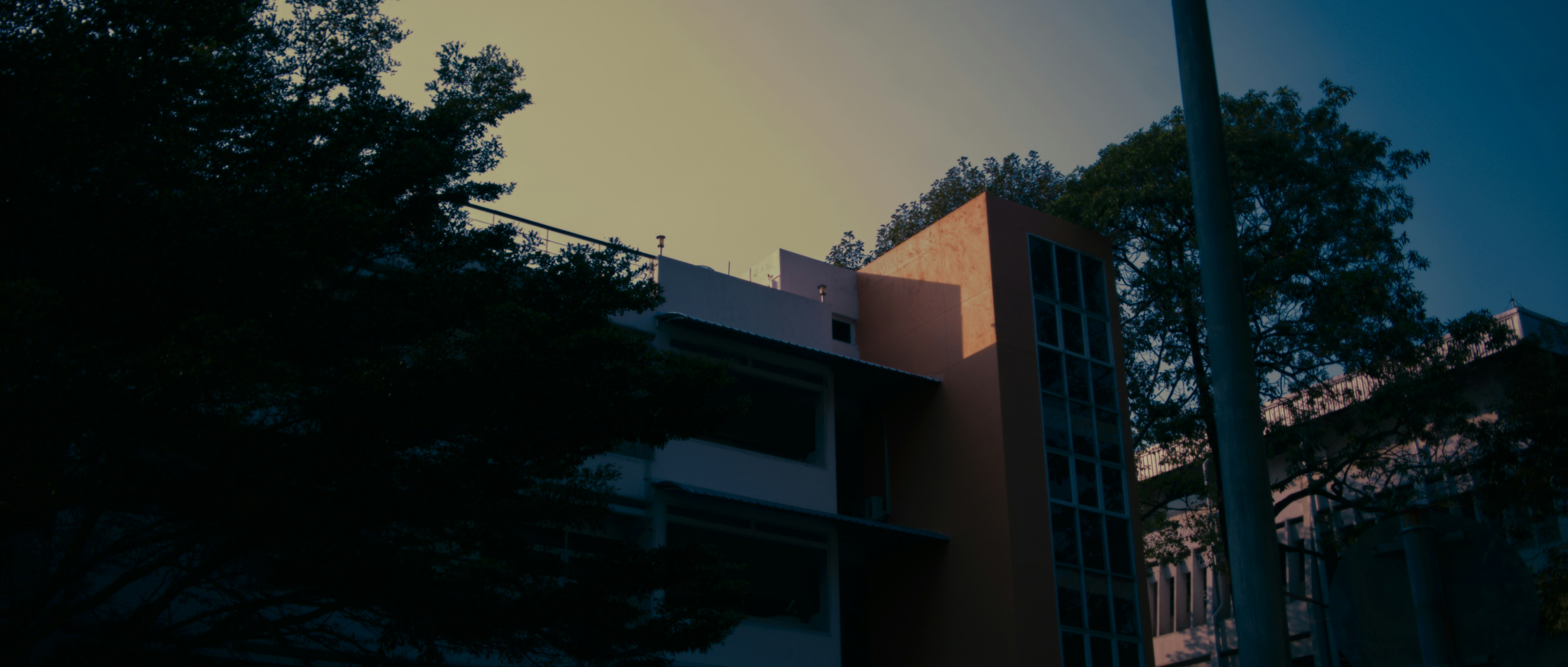 Modern building with trees against a sunset sky