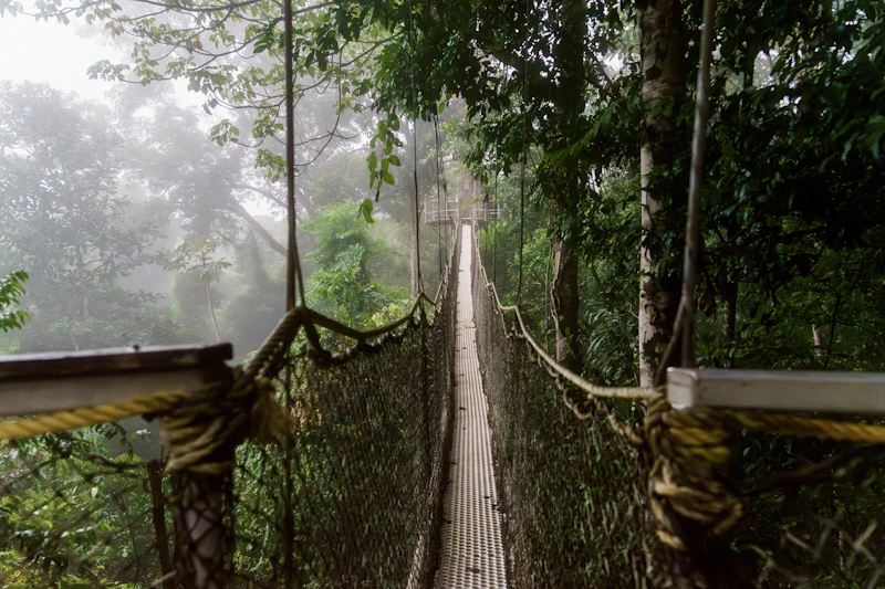 Eco-aventura
