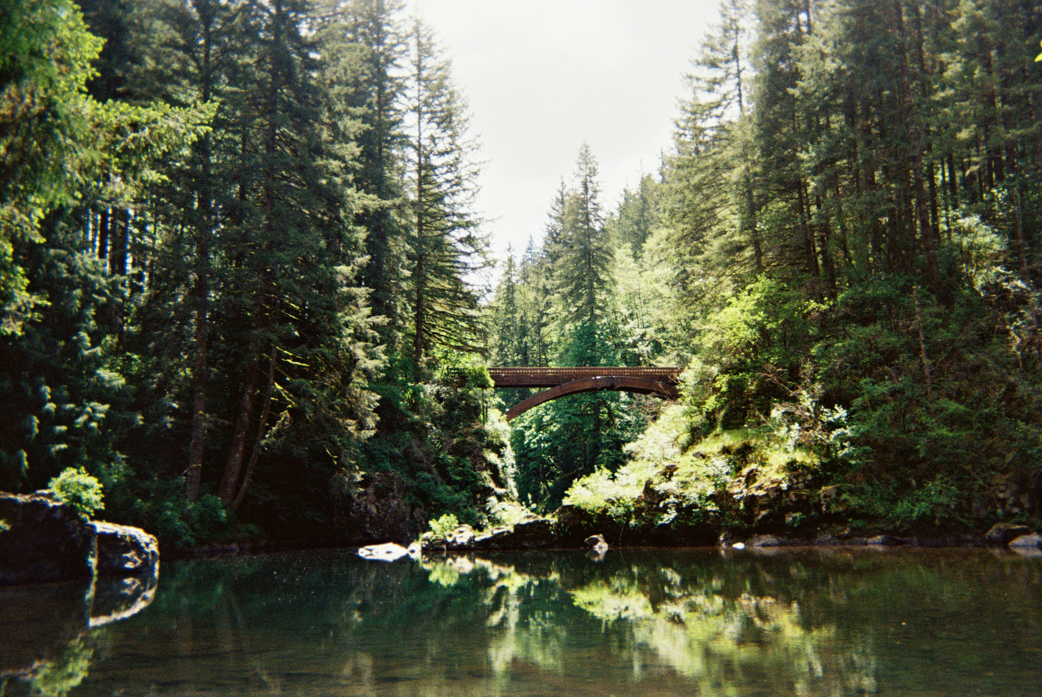 Photo by judahdouglass