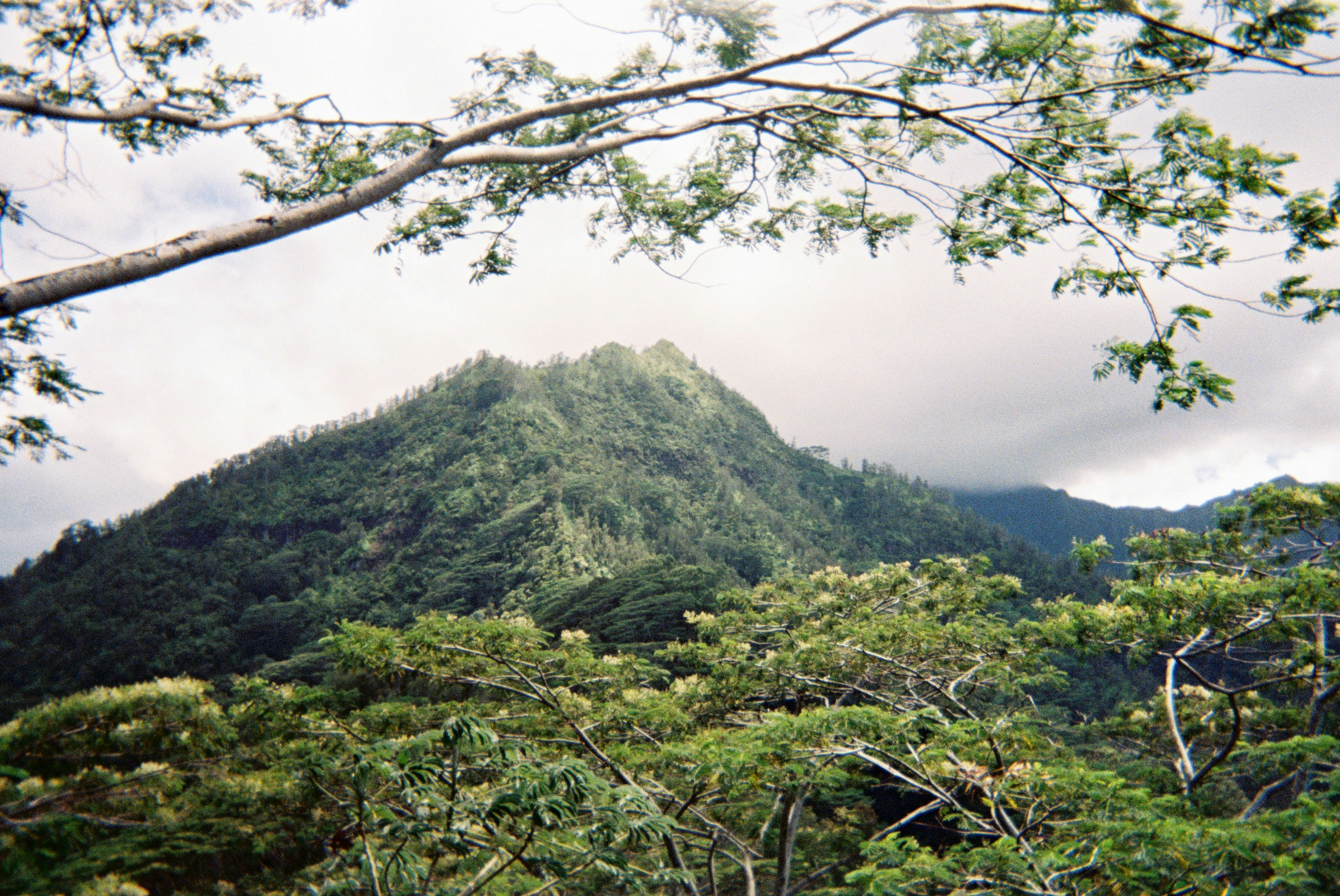 tropical rainforest mountain landscape, wallpaper, Akhir Perang Banjar: Analisis Sejarah dan Runtuhnya Perlawanan 3