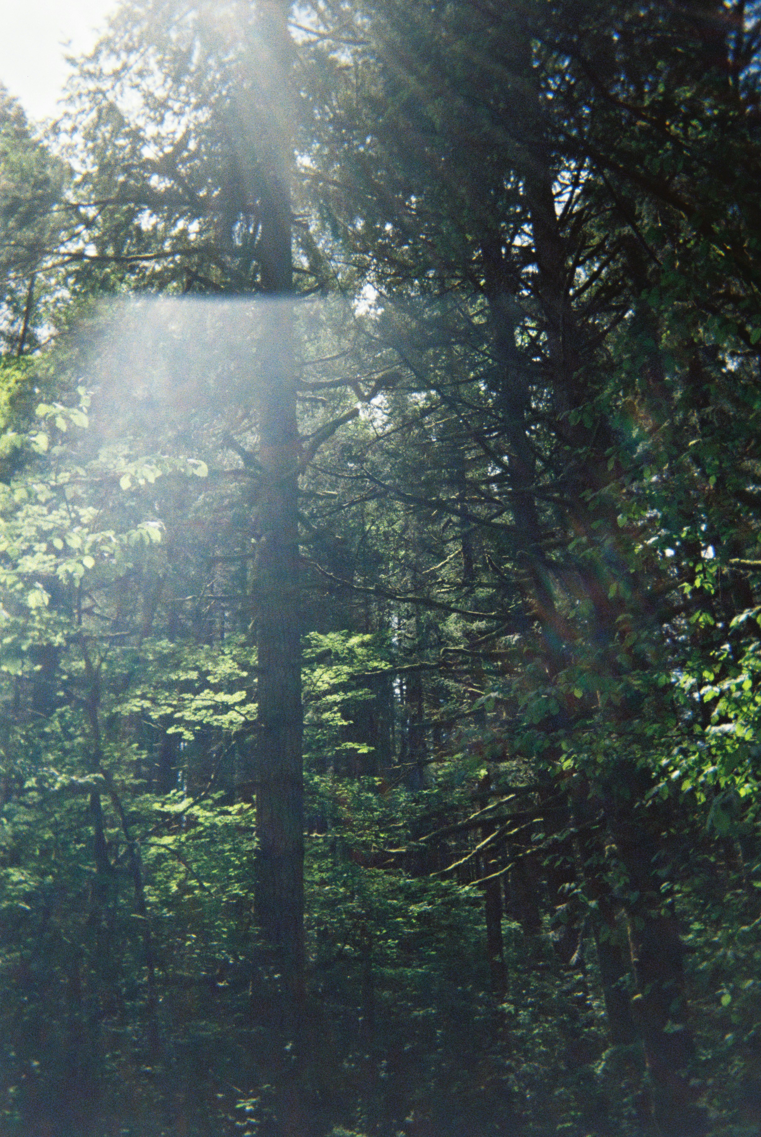 Photo by judahdouglass