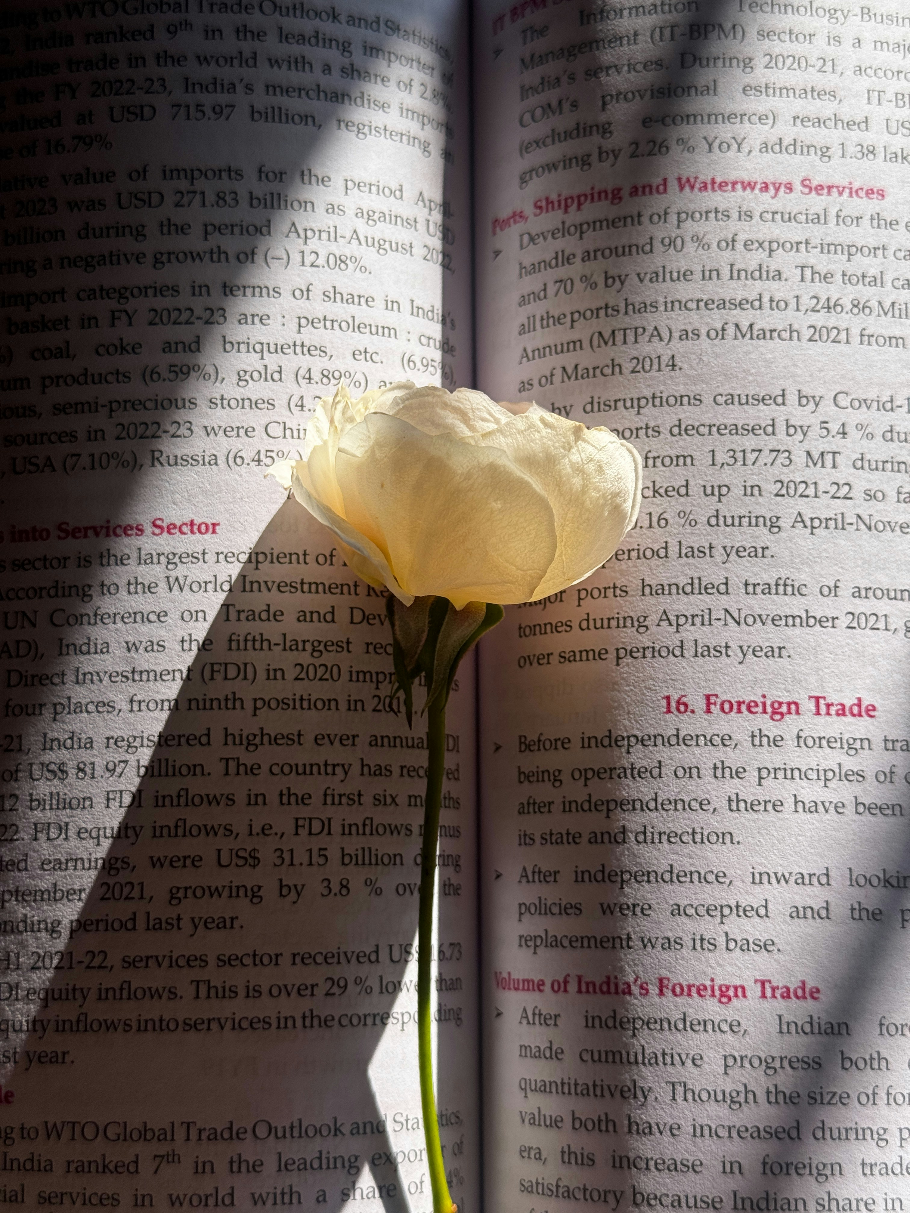 Photo by illusionxavi