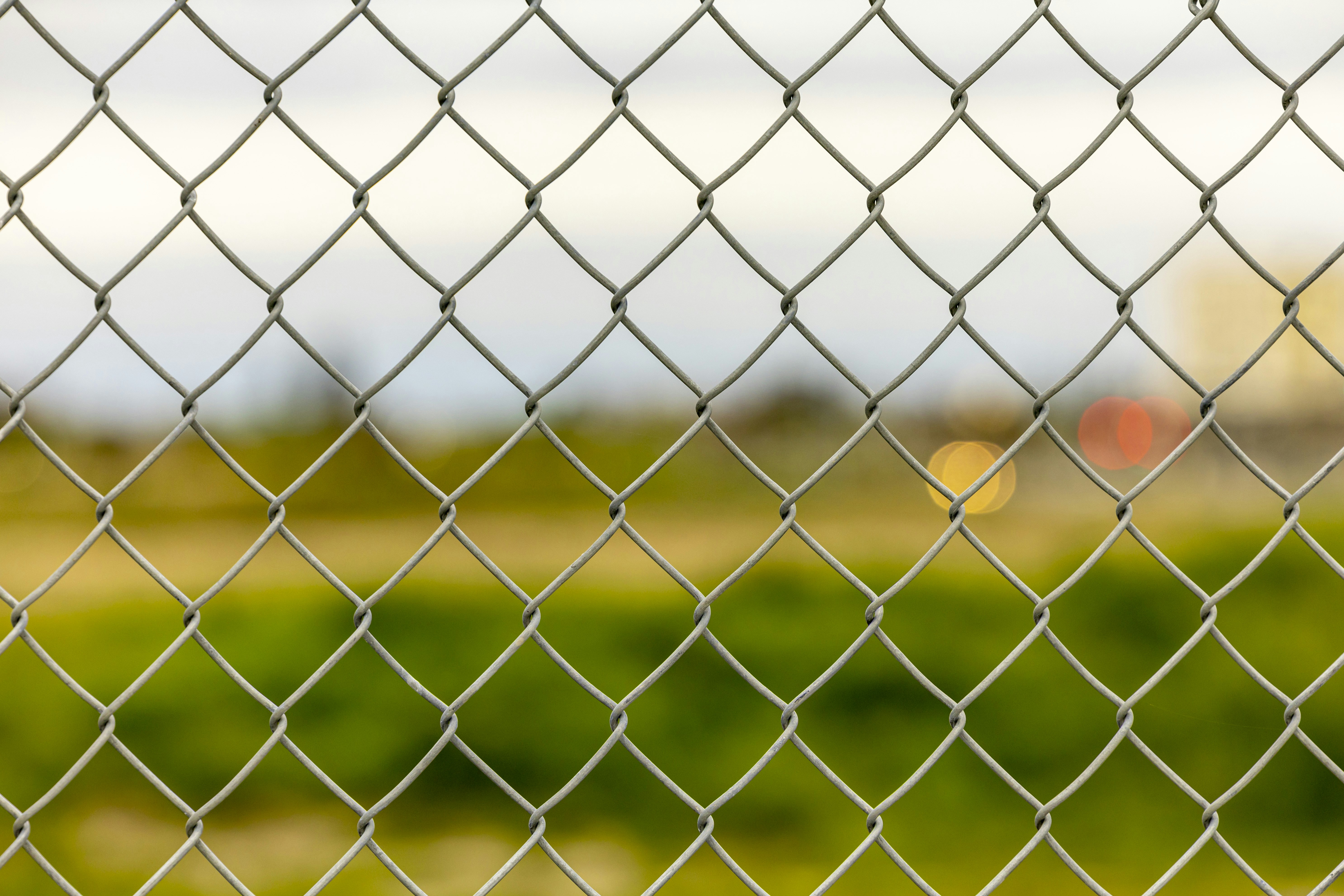 Photo by leo_visions_