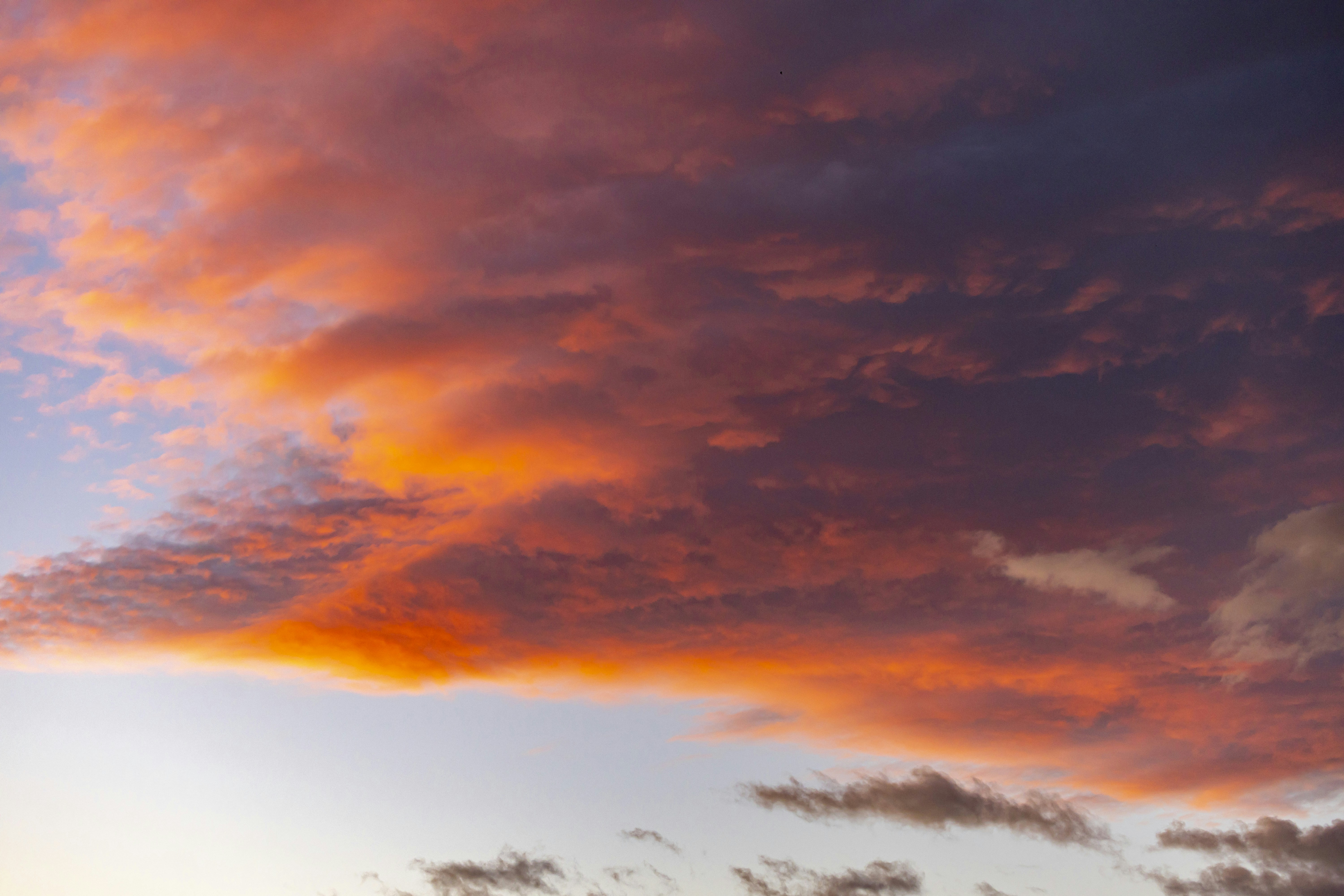 Photo by leo_visions_