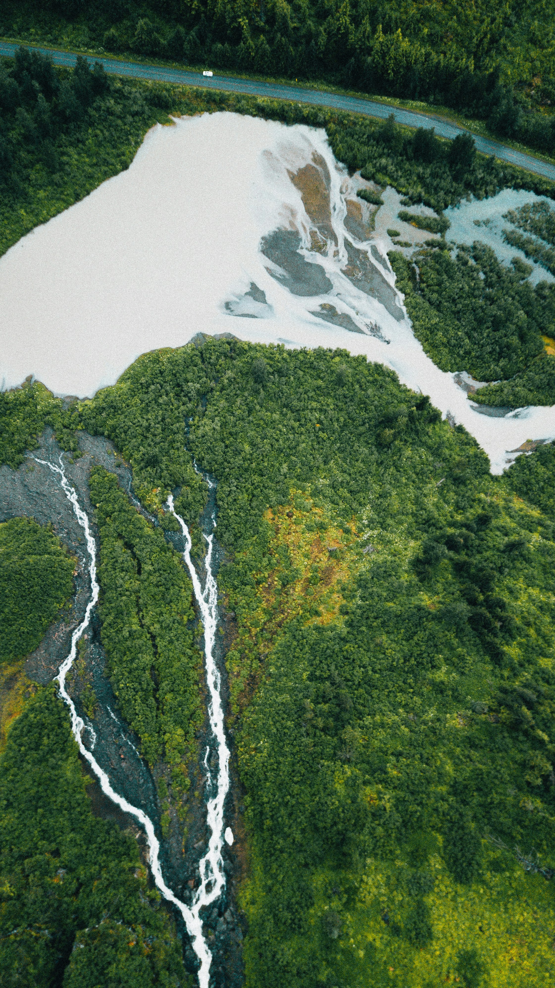 Aerial view of a river delta with lush green vegetation.