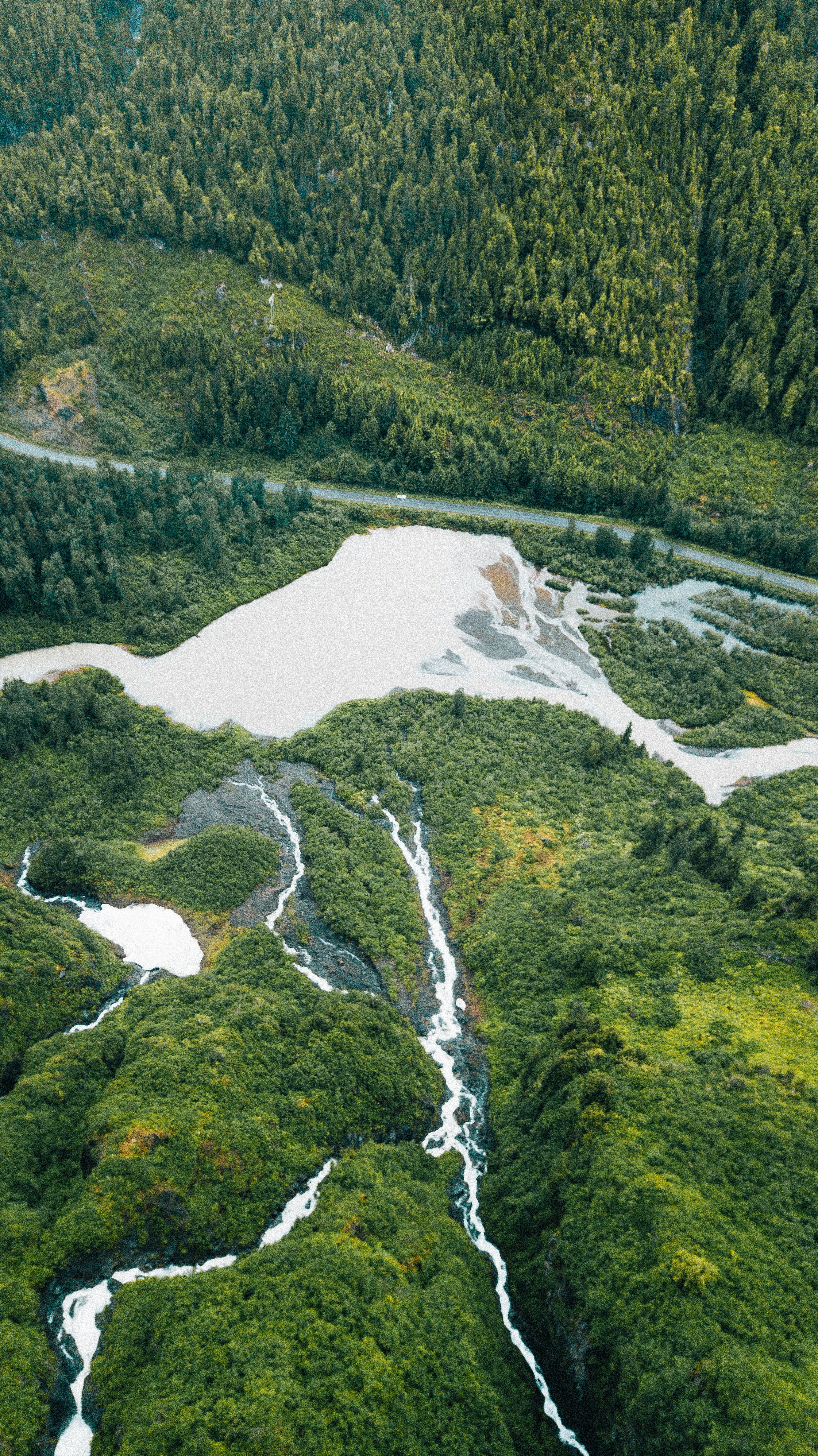 Aerial view of lush green forest and winding rivers