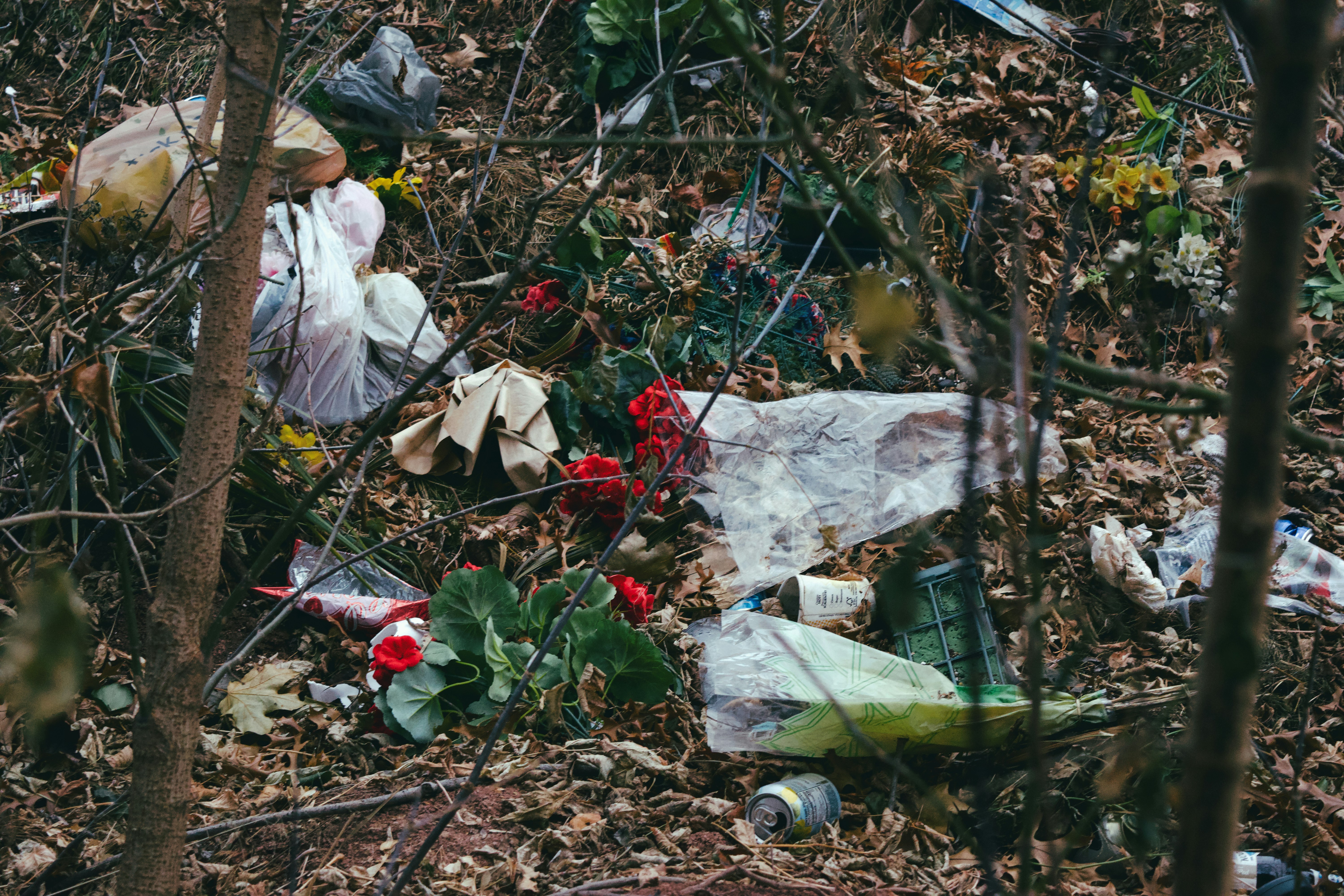 Basura y basura esparcidos por el suelo del bosque