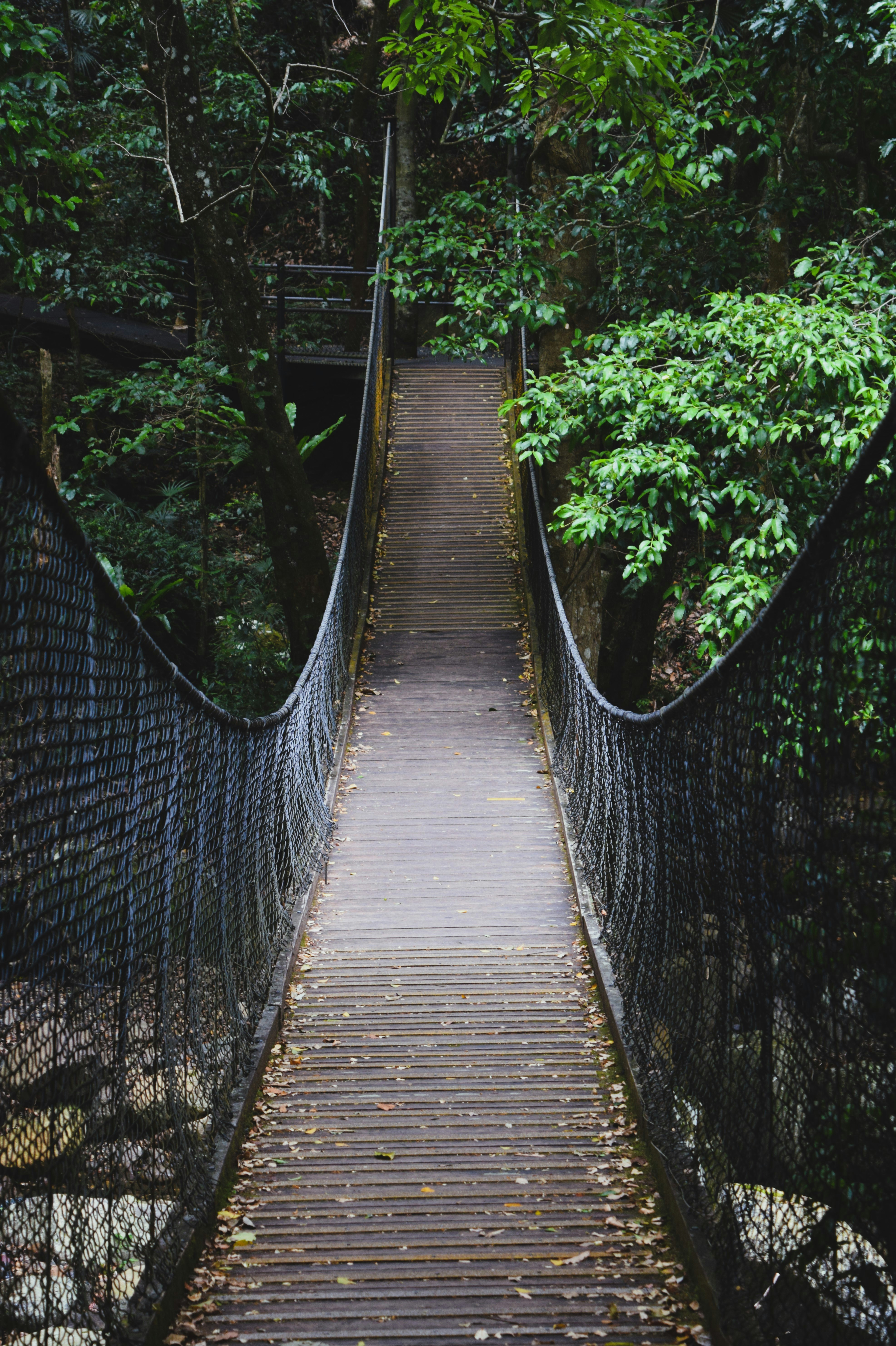 Photo by ch_photography