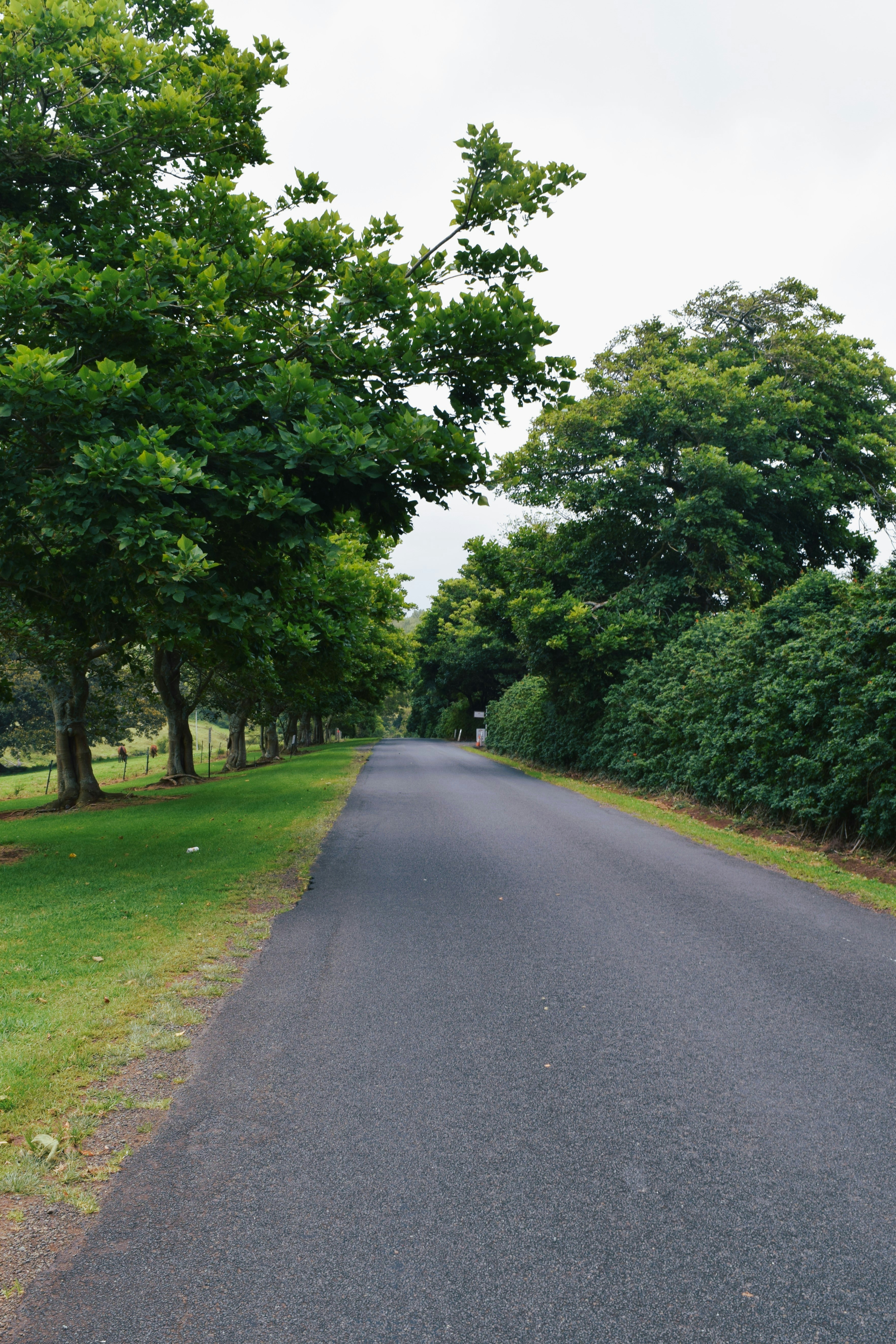 Photo by ch_photography