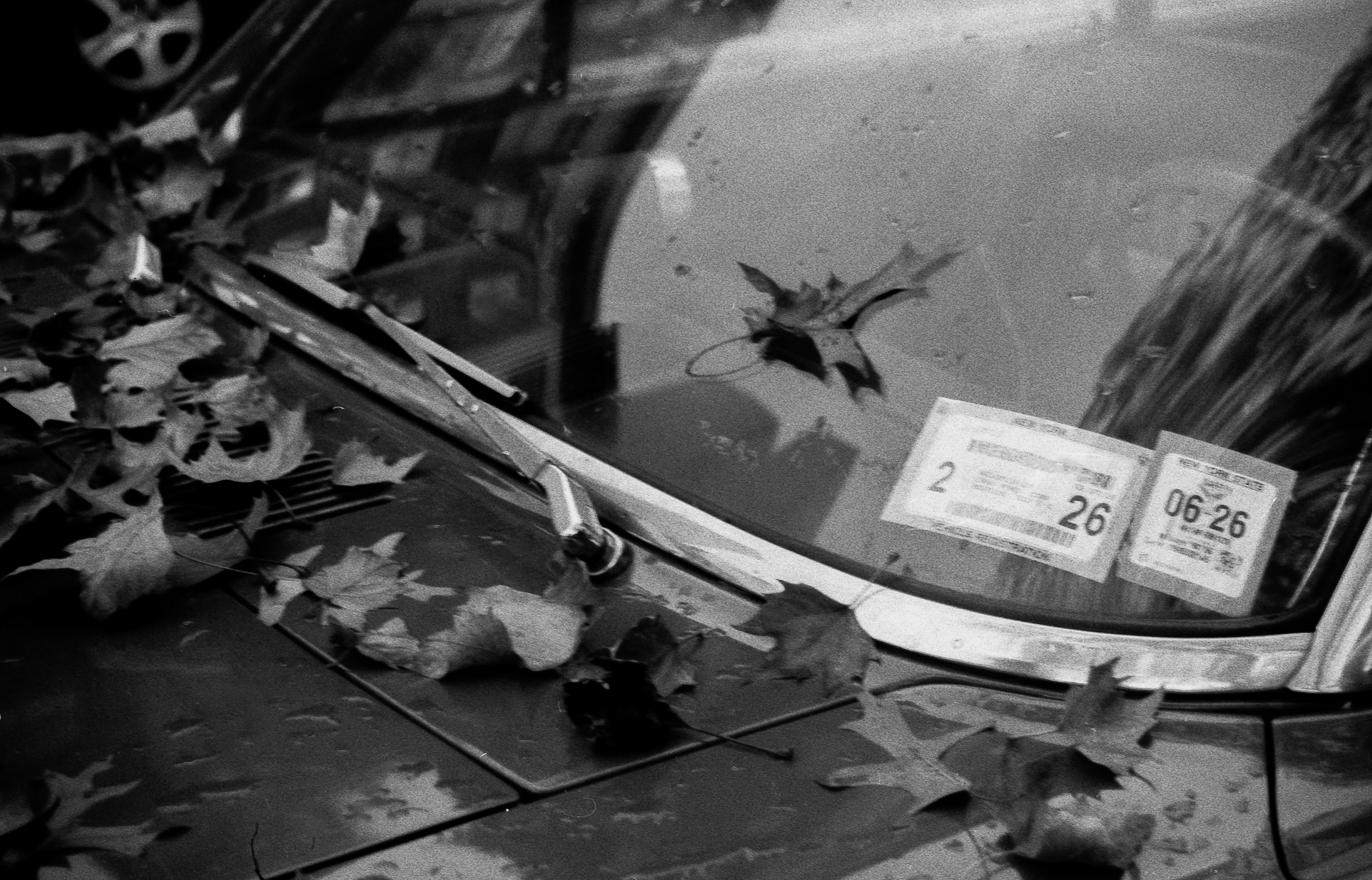 Photo by shotsoftorono