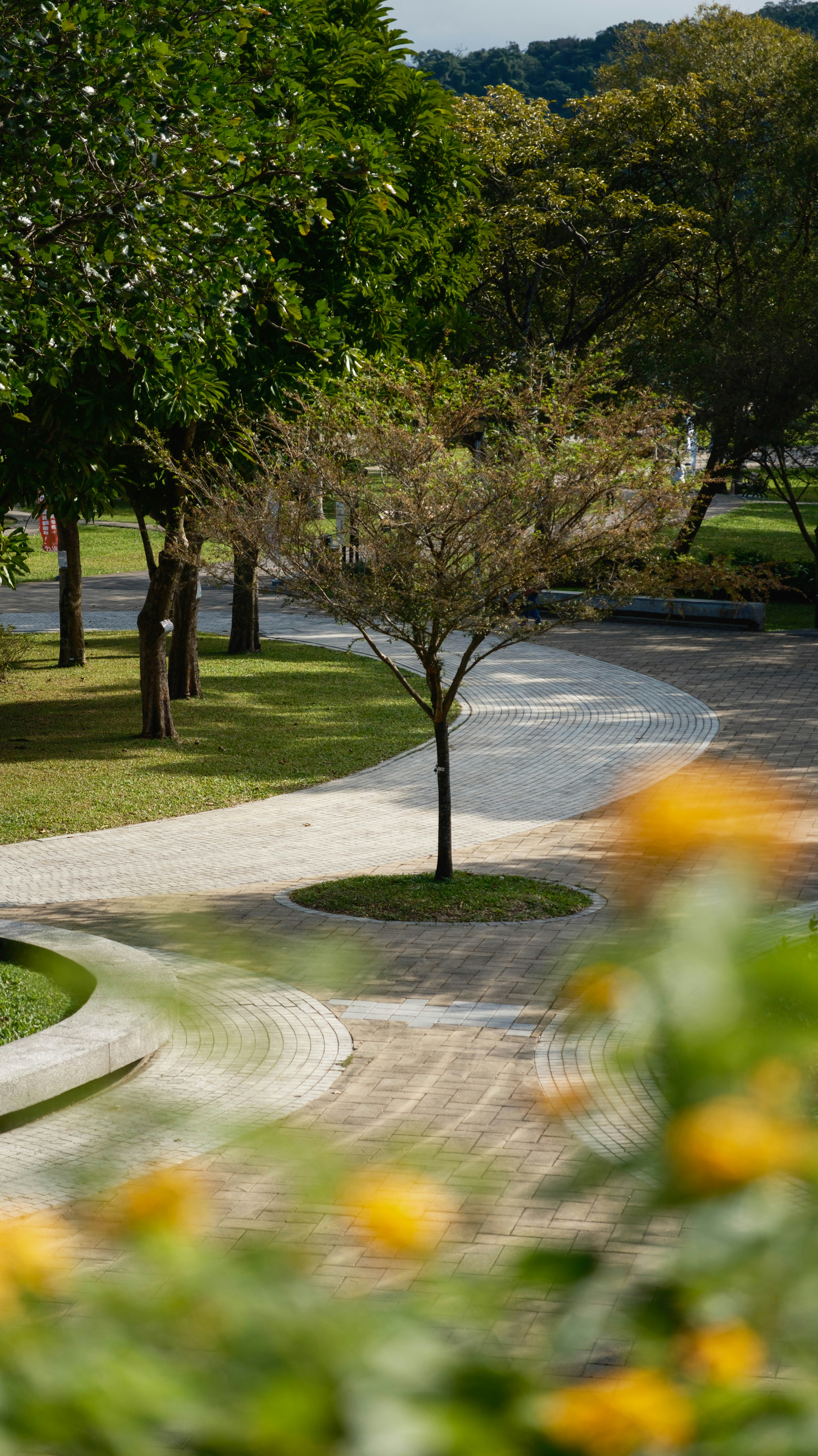 Photo by chenkuochen