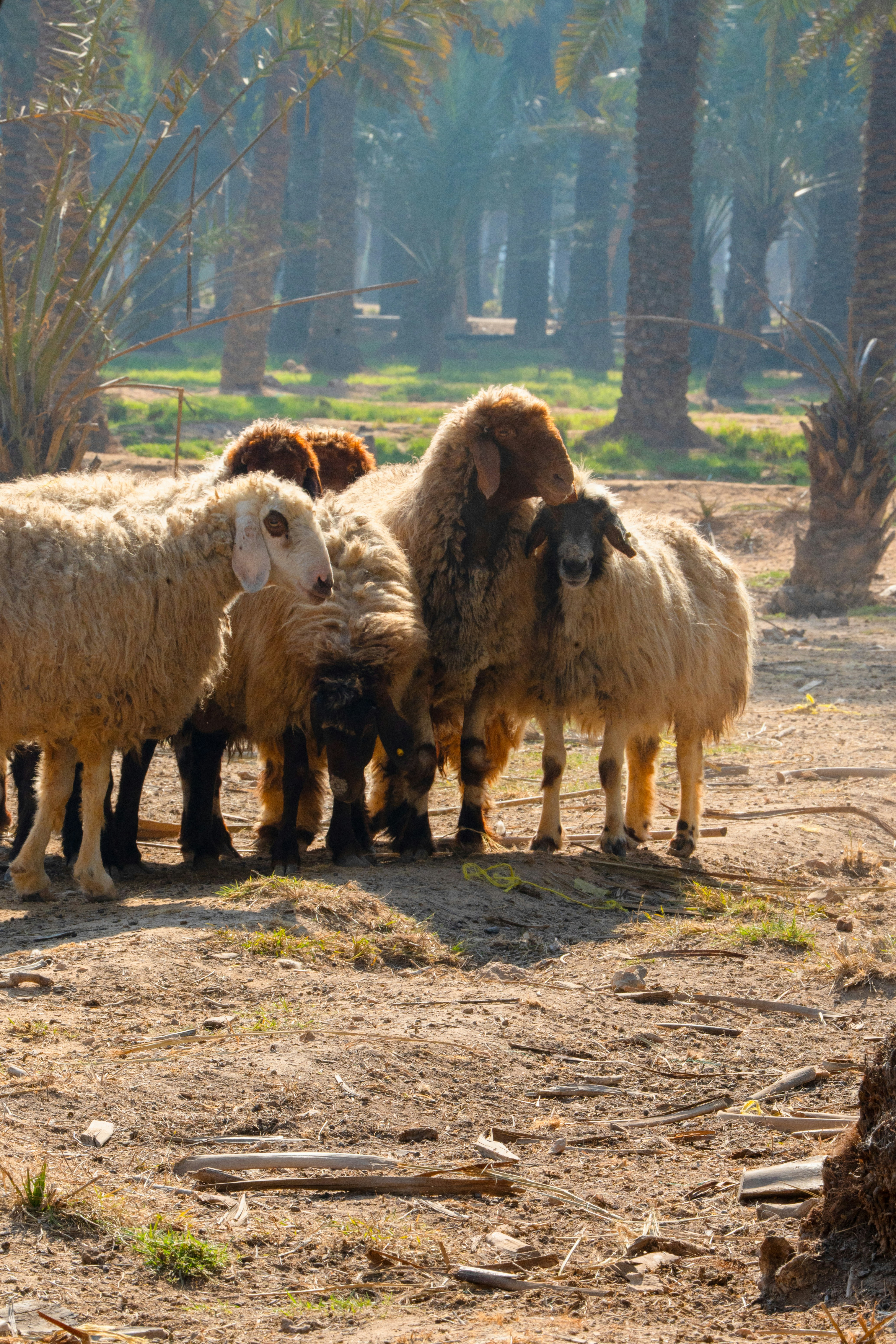 Photo by ansebmoidutty