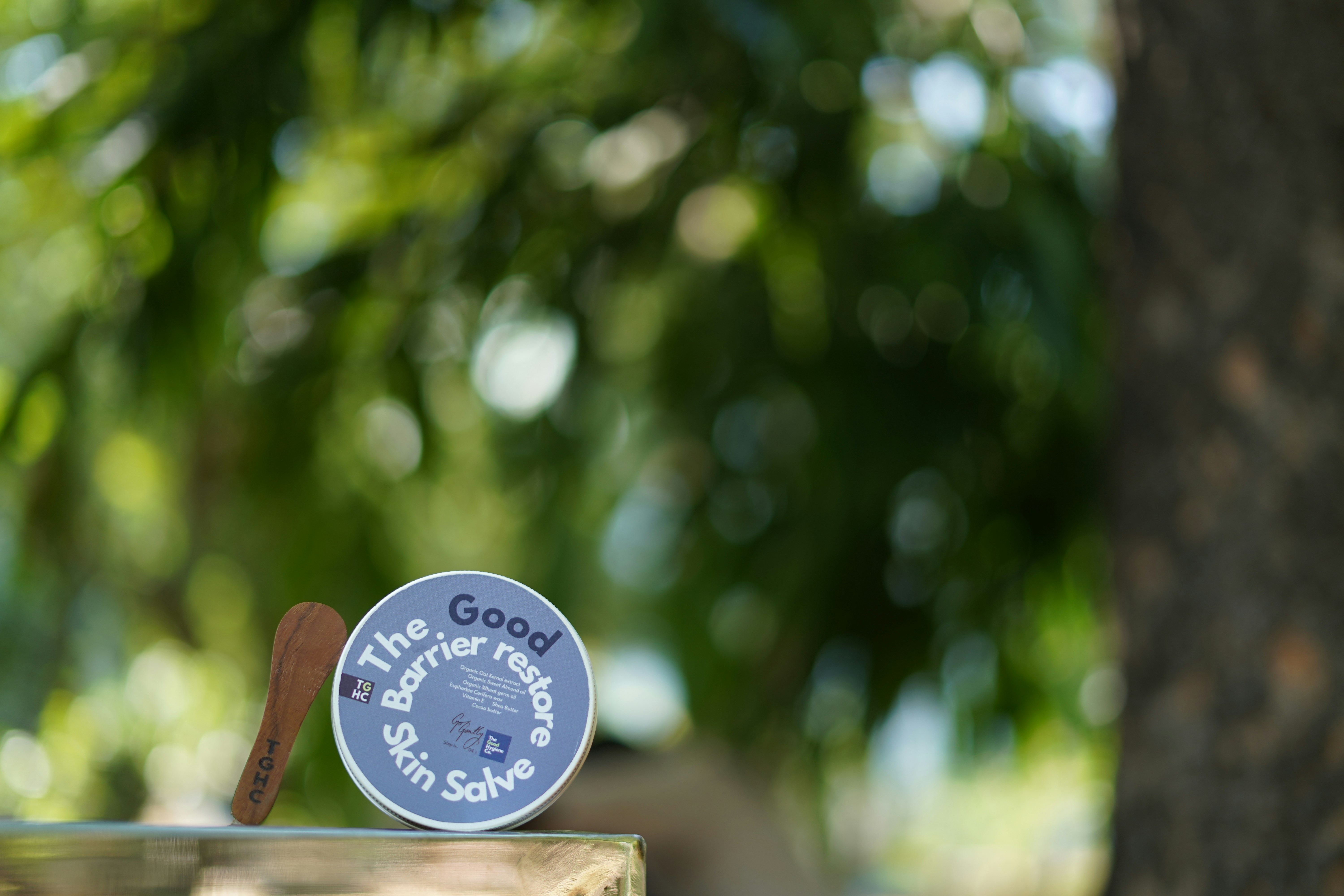 Jar of skin salve with wooden applicator outdoors