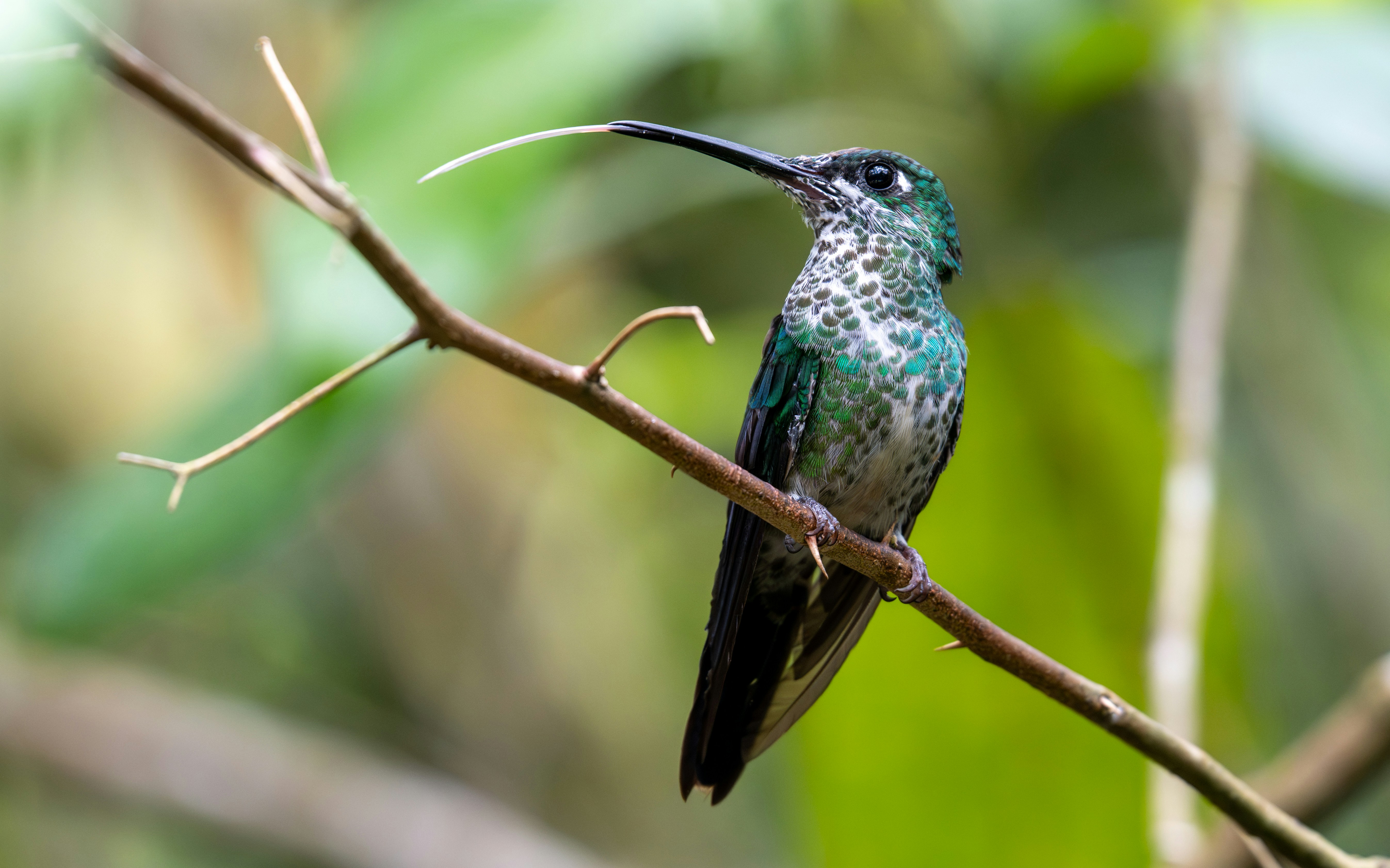 Photo by oj_wildframe