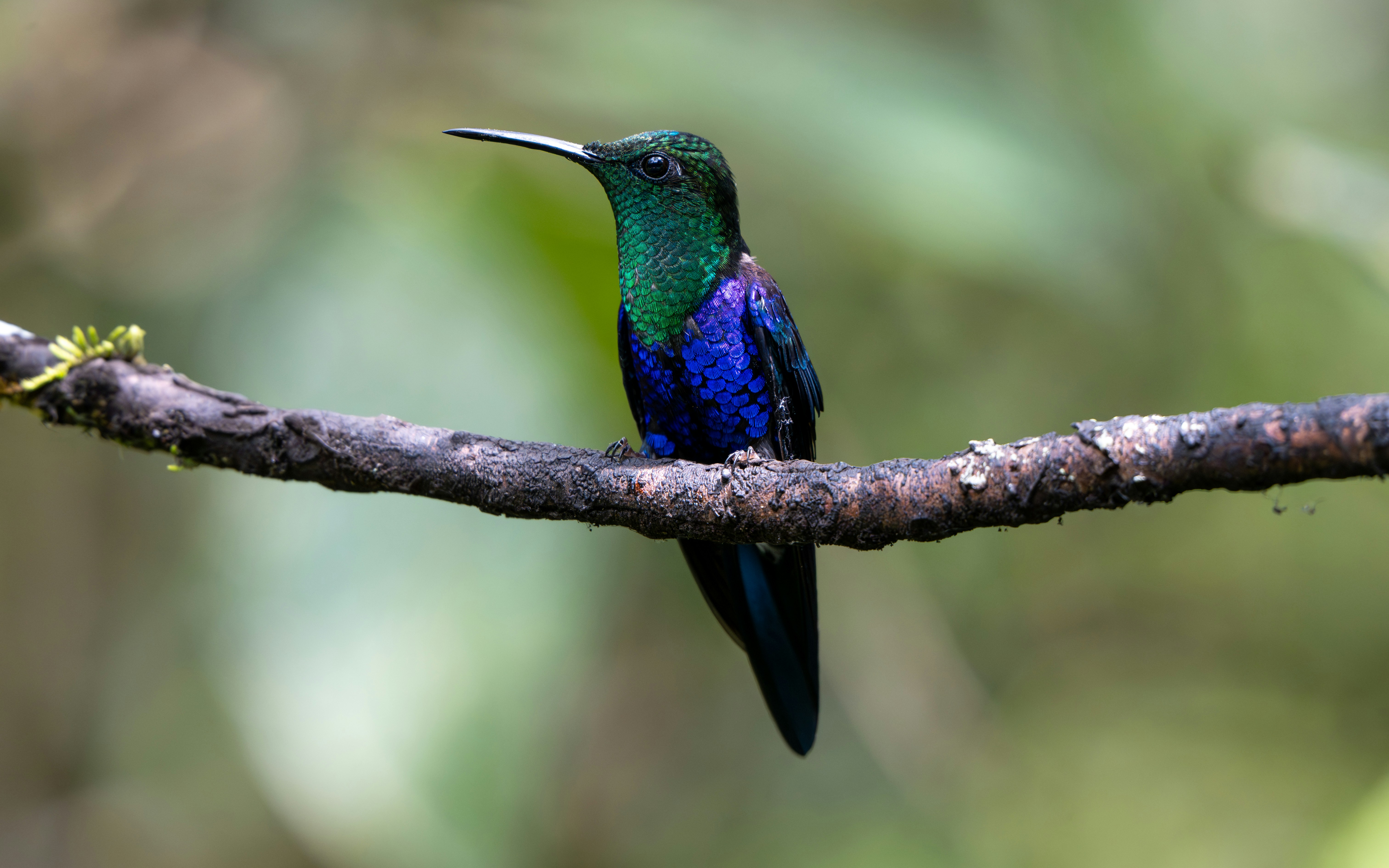 Photo by oj_wildframe