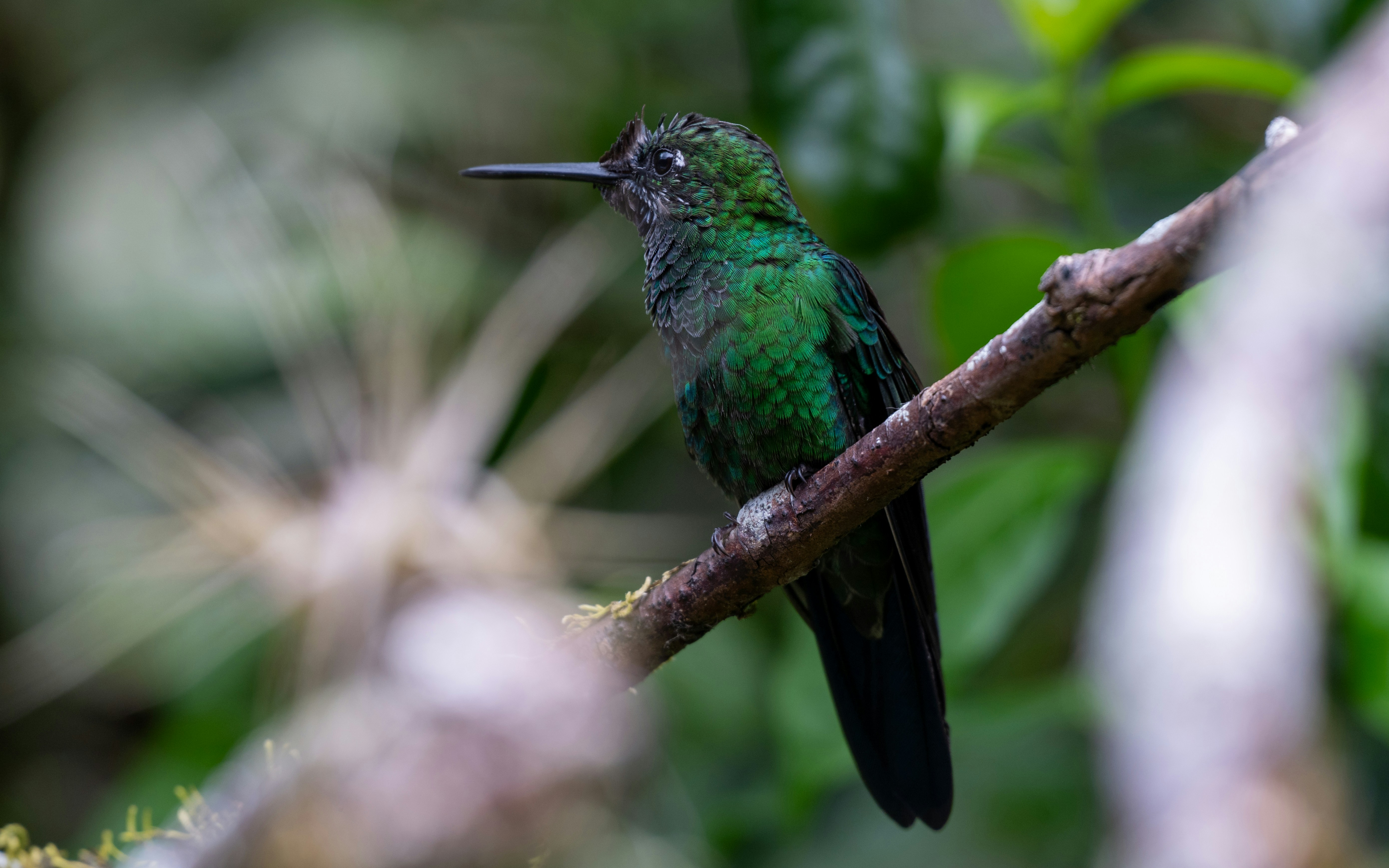 Photo by oj_wildframe