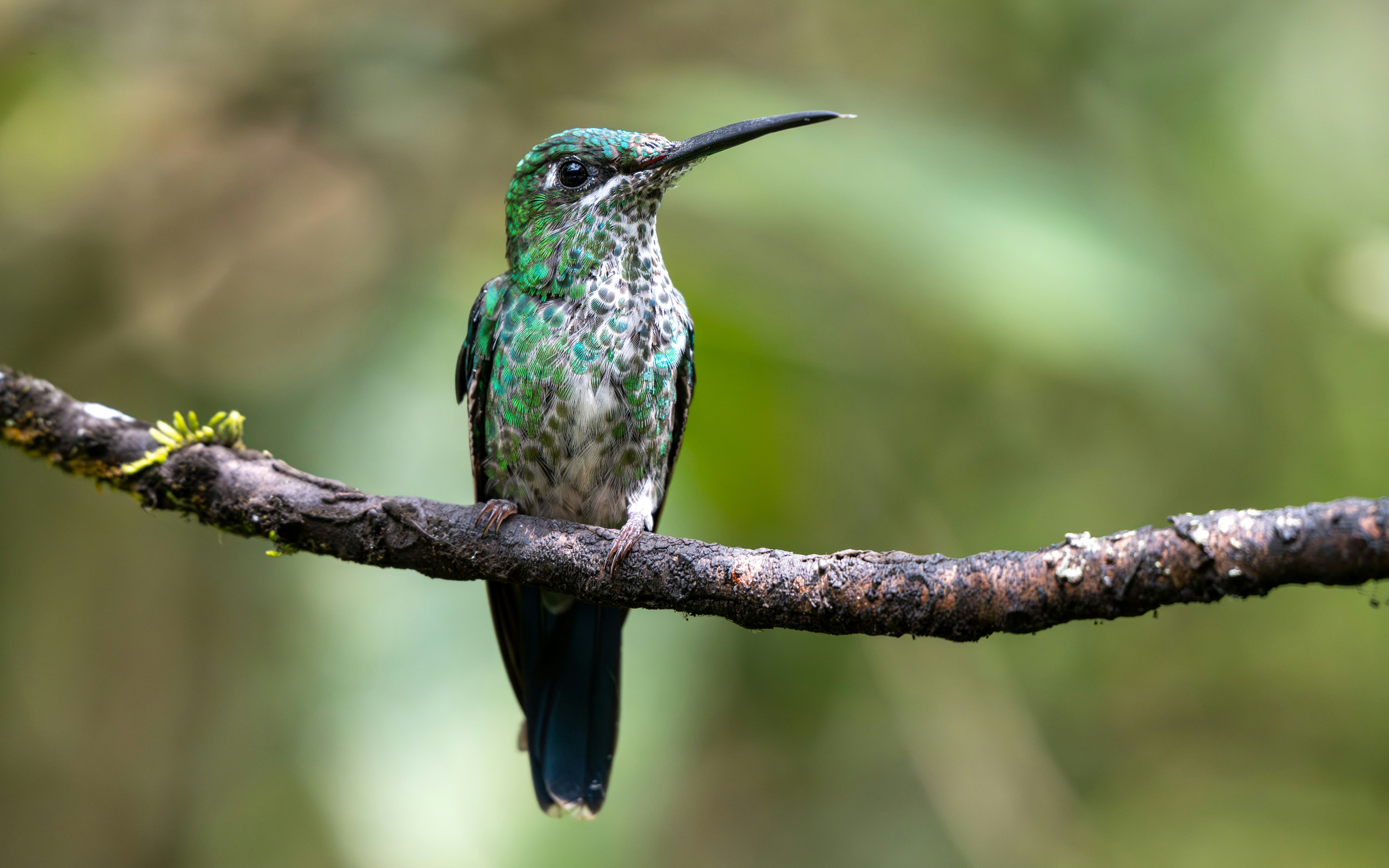 Photo by oj_wildframe