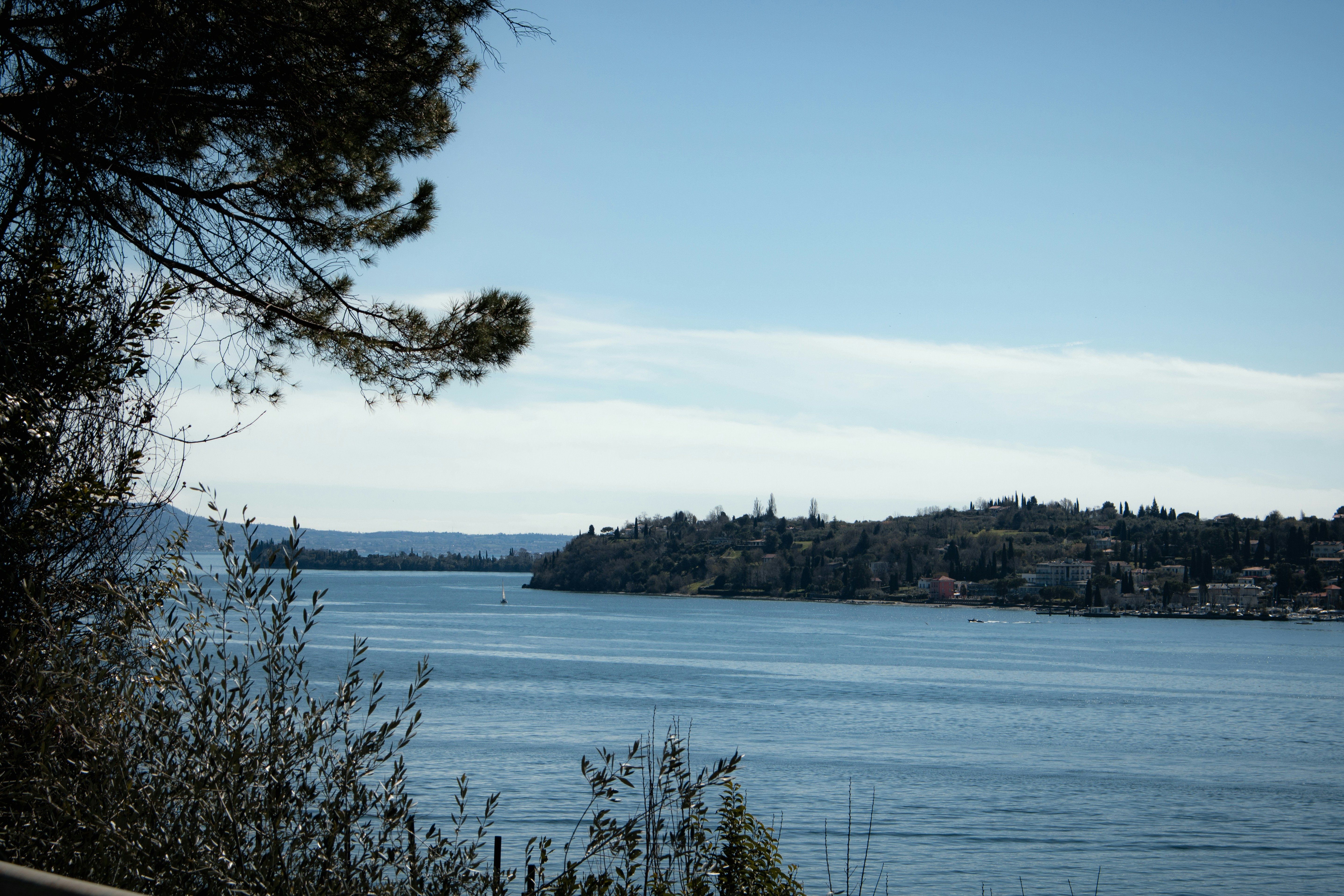 Photo by ssarasframes