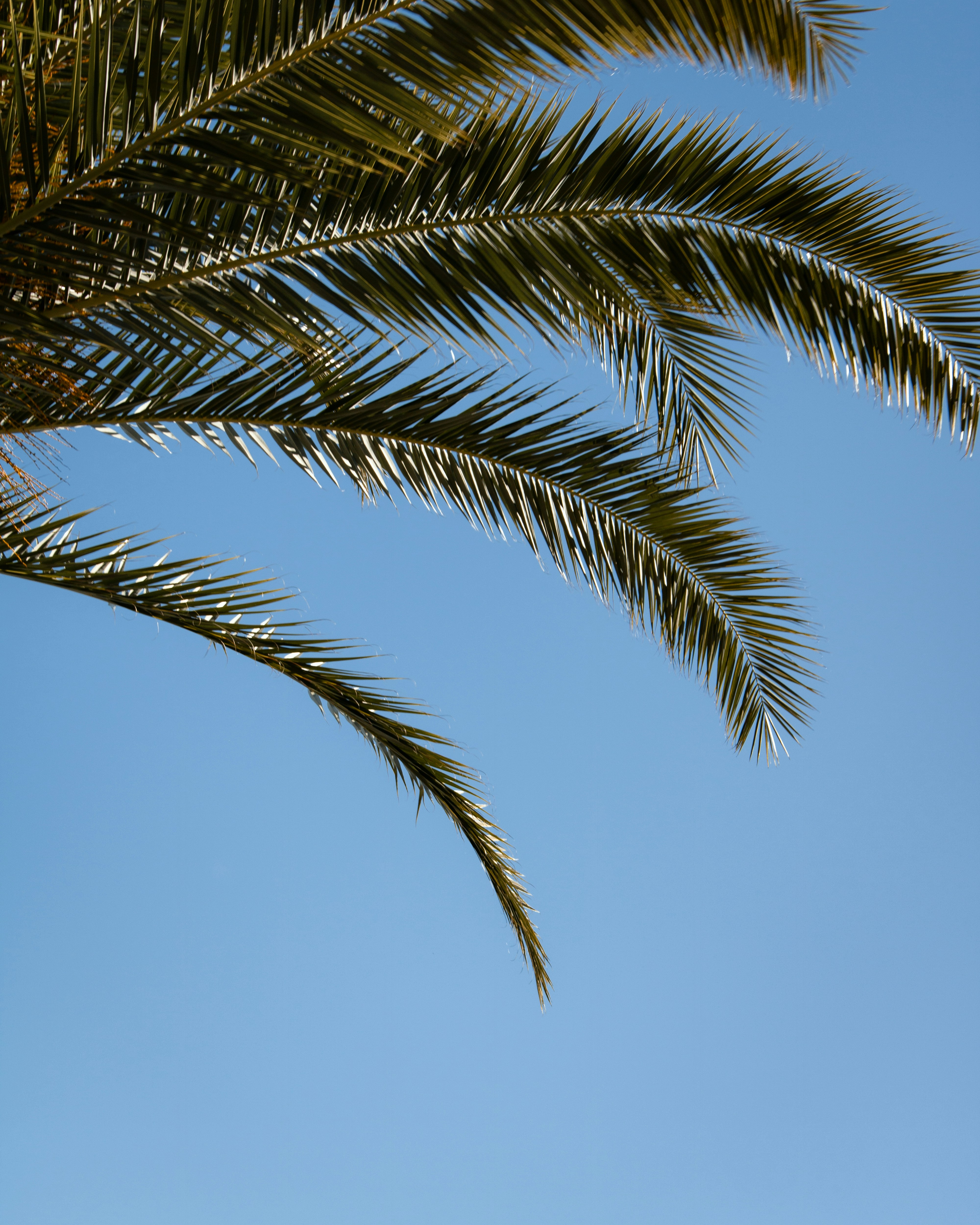 Photo by ssarasframes