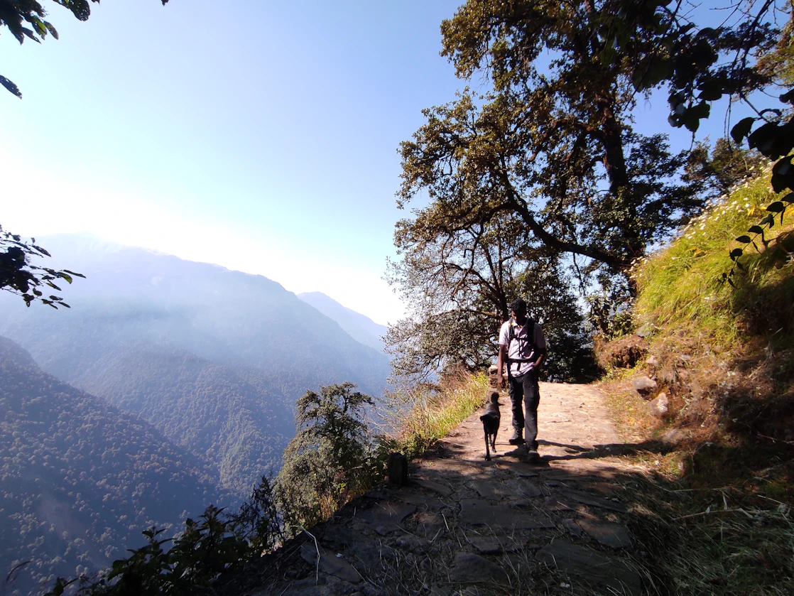 Man and dog walking on mountain trail