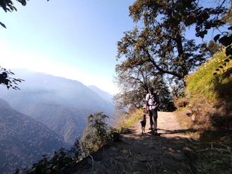 Man and dog walking on mountain trail