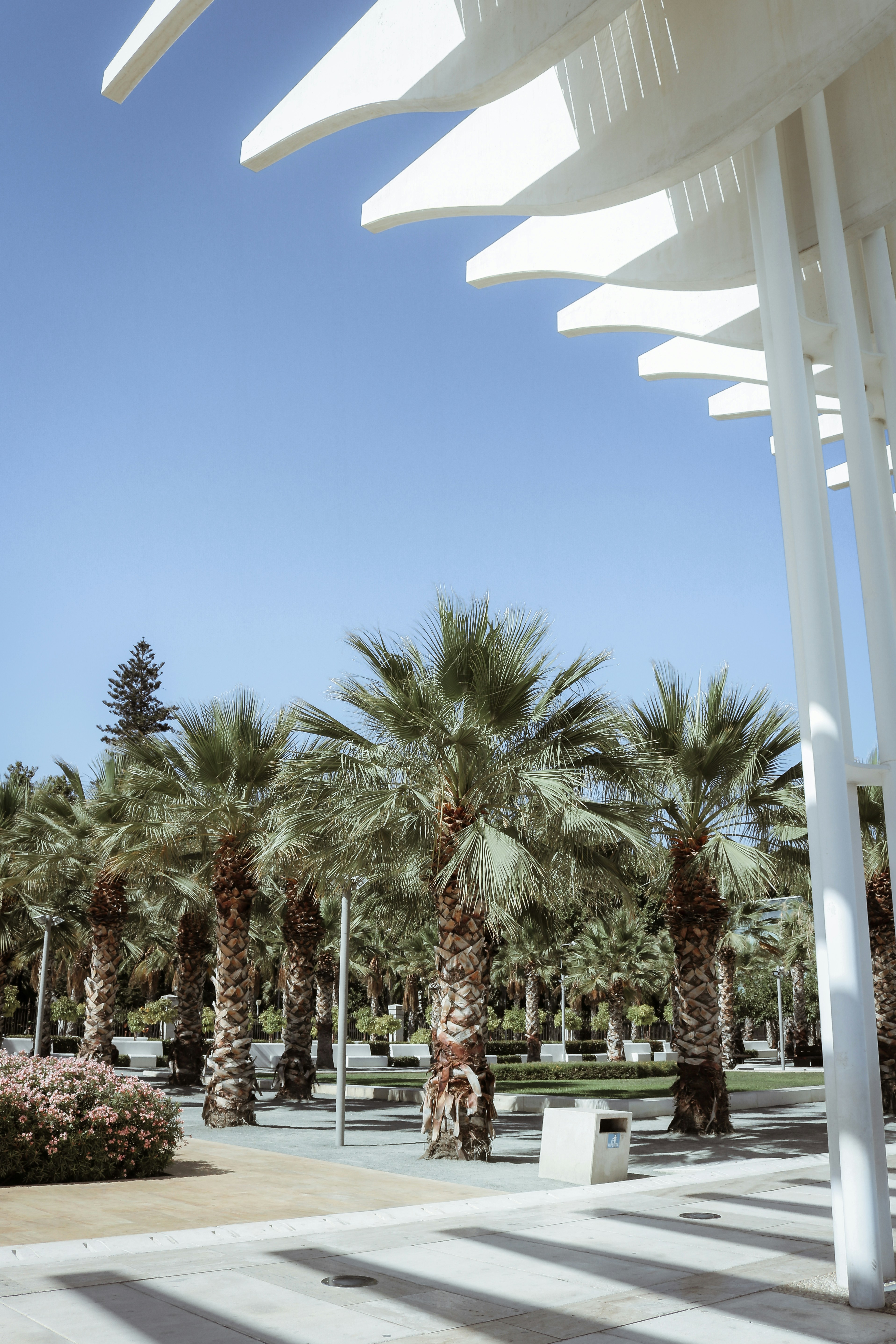 Photo by ssarasframes