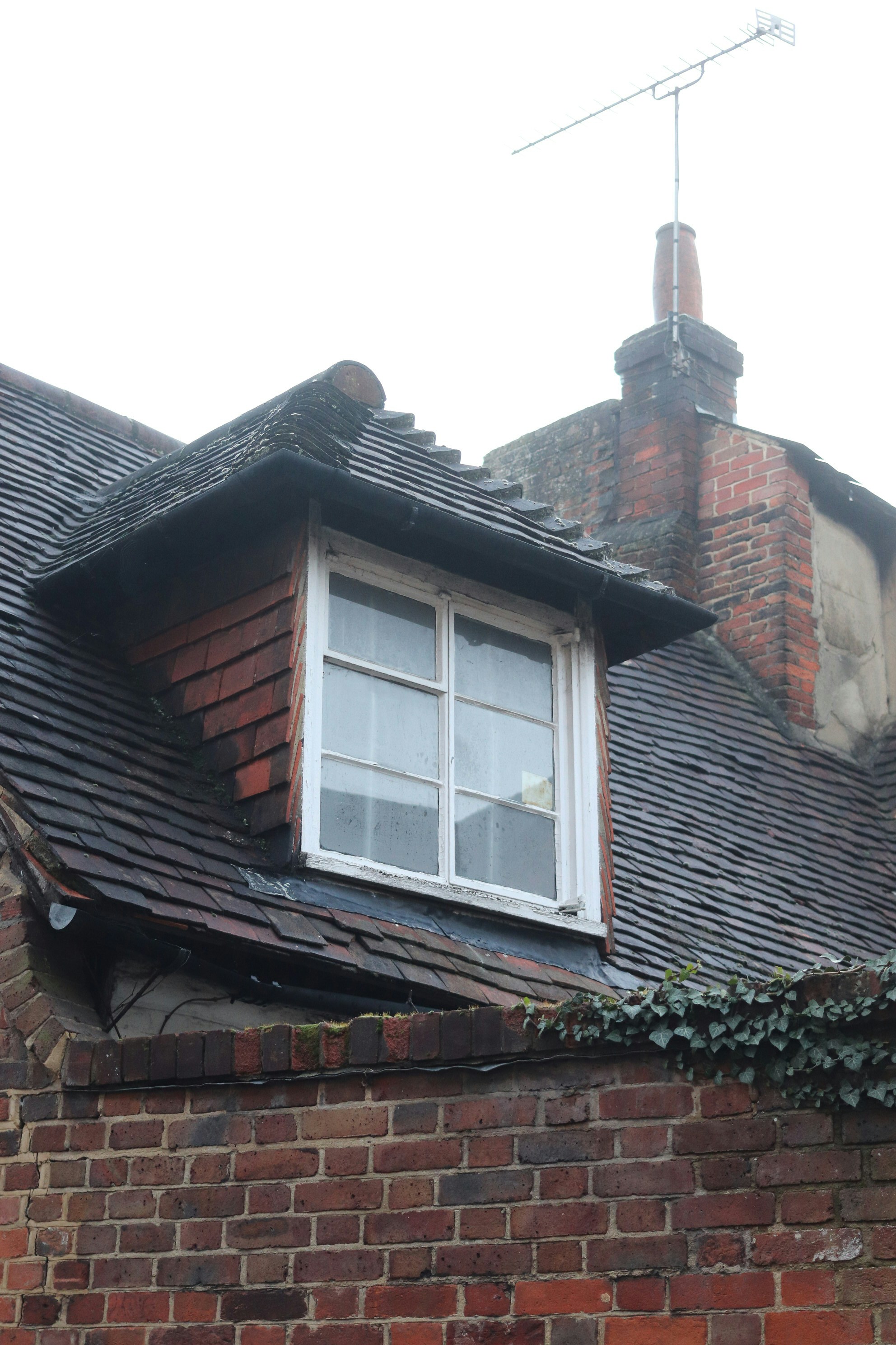 Photo by tanyabarrow