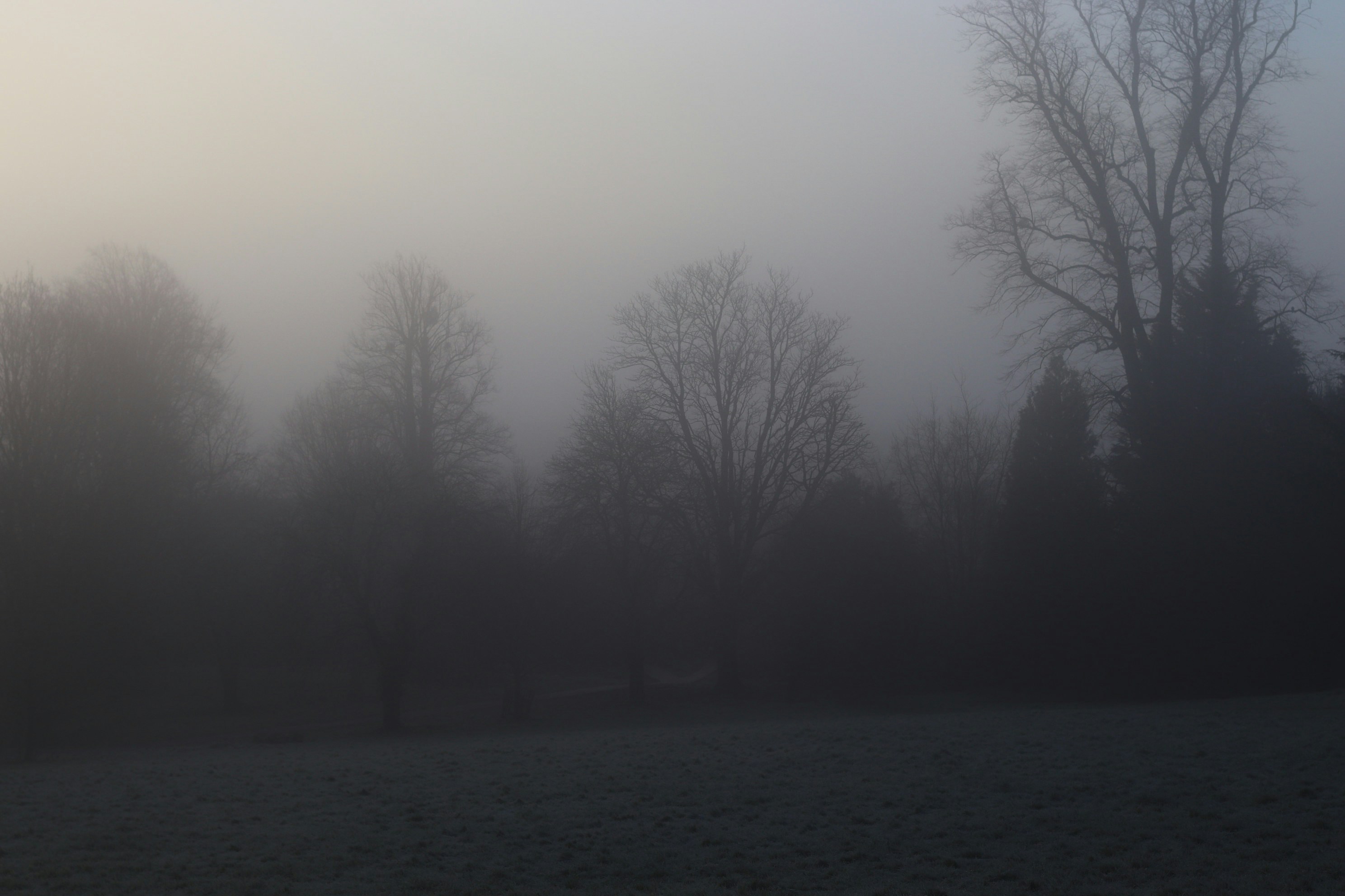 Photo by tanyabarrow