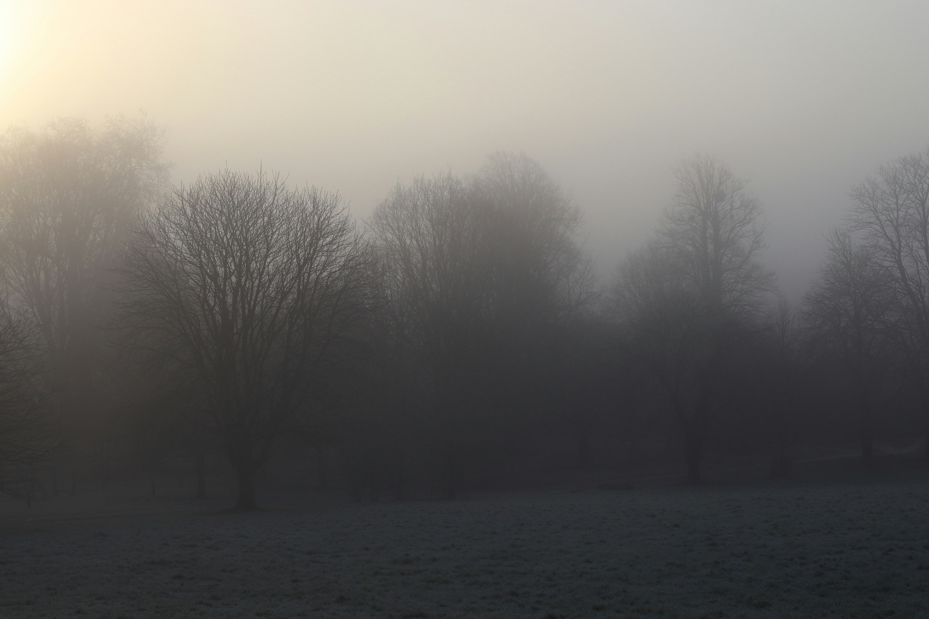 Photo by tanyabarrow