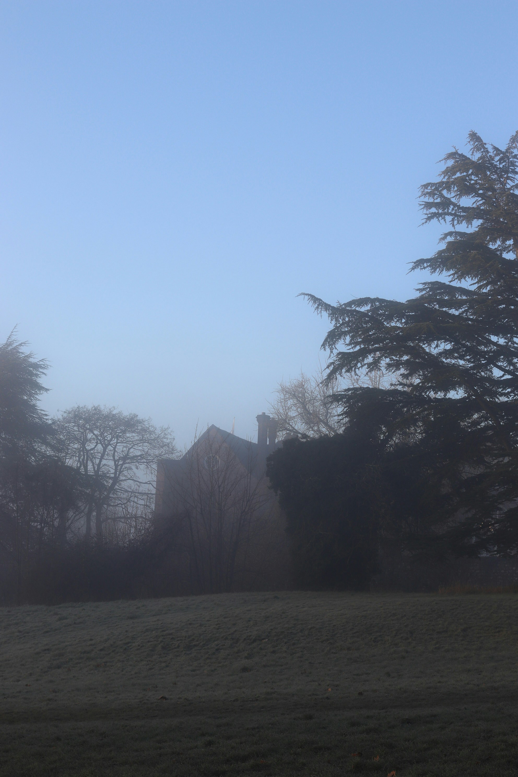 Photo by tanyabarrow