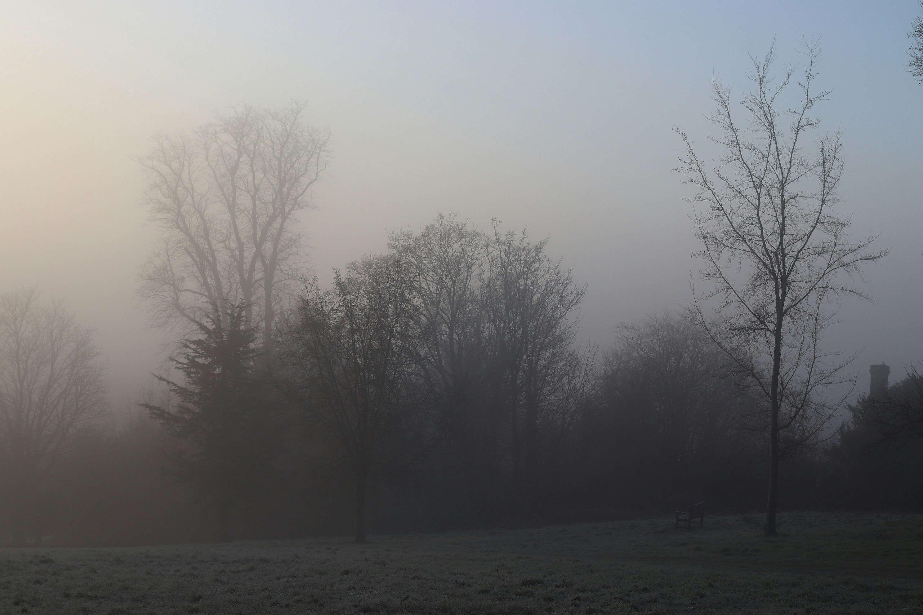 Photo by tanyabarrow