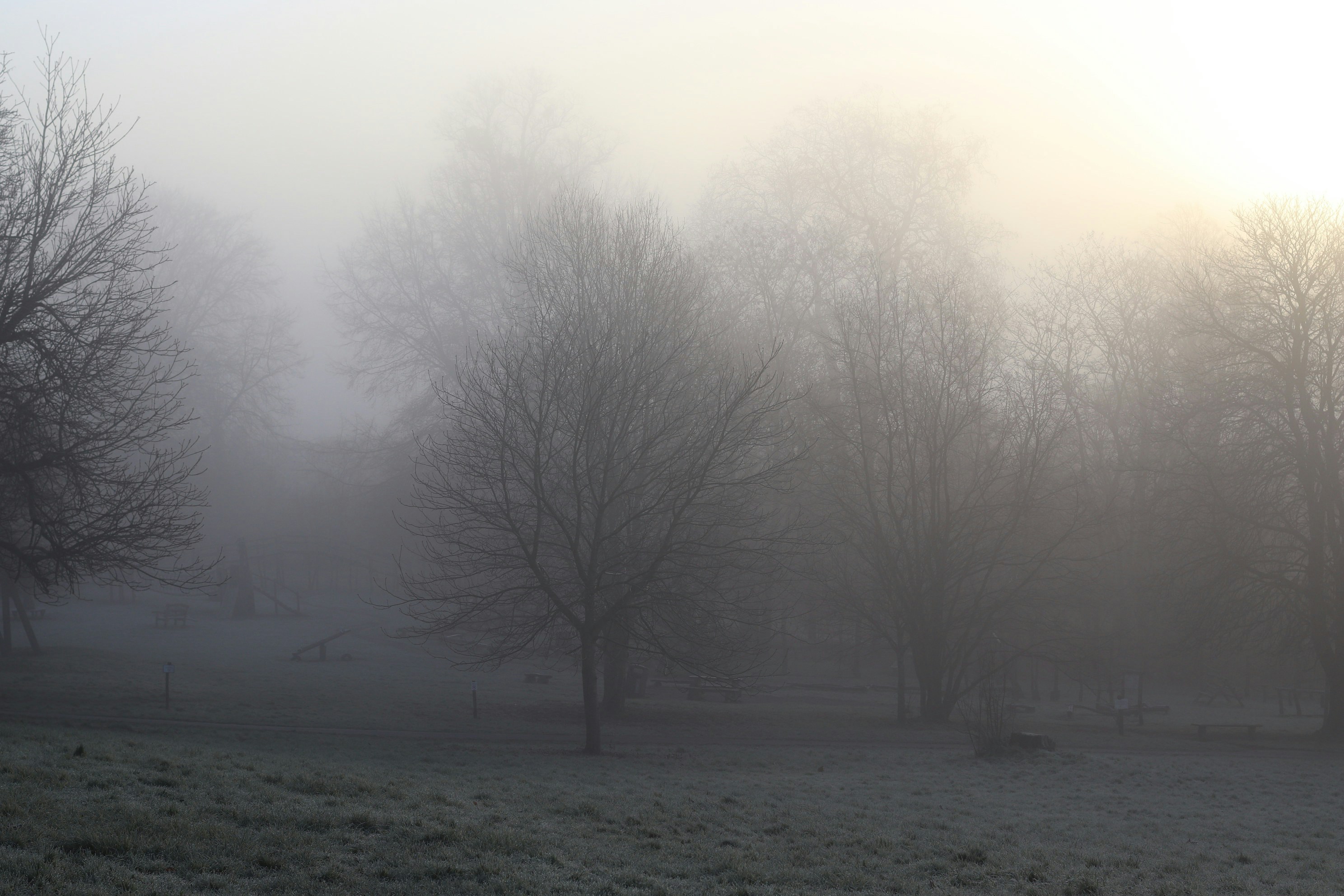 Photo by tanyabarrow