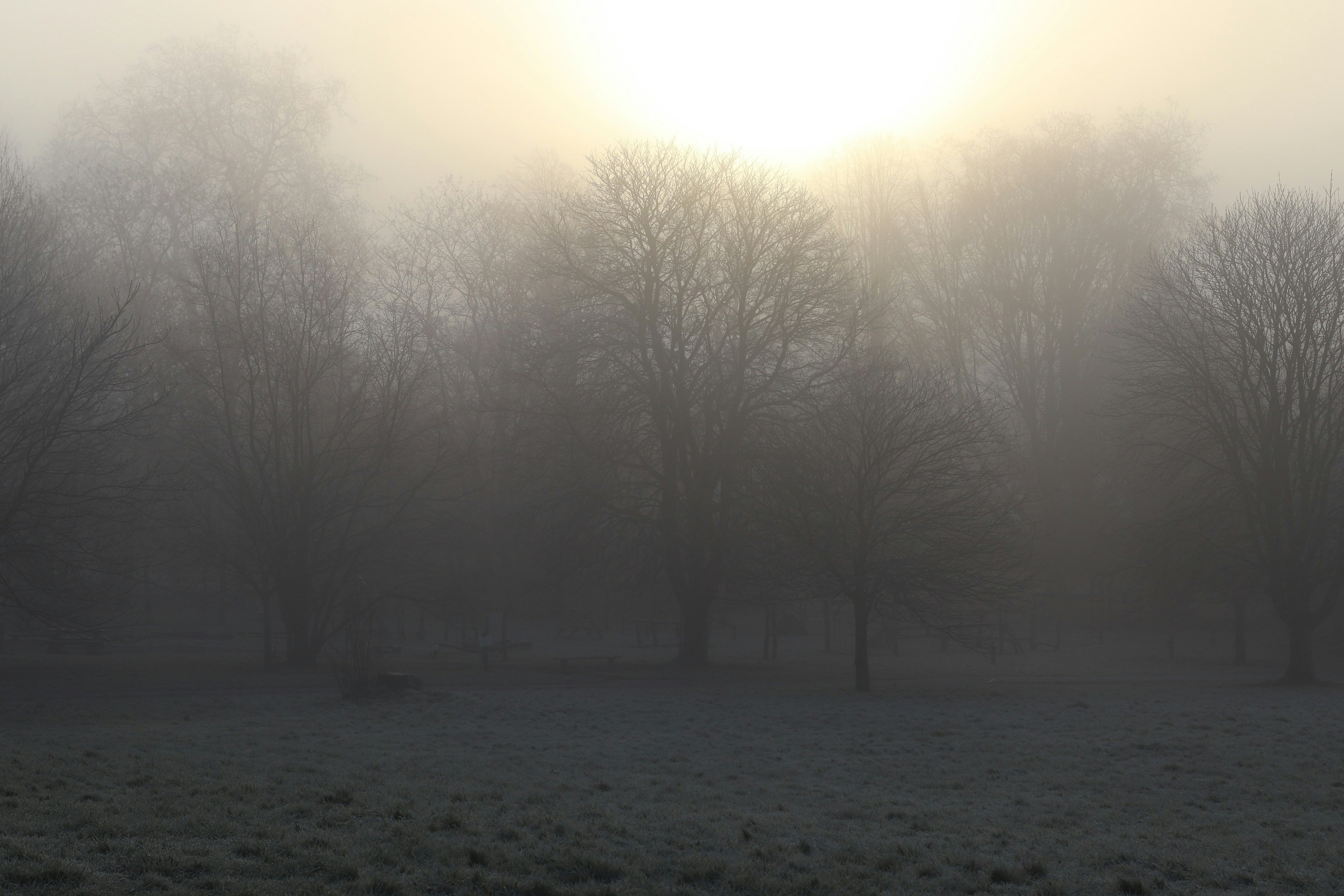 Photo by tanyabarrow