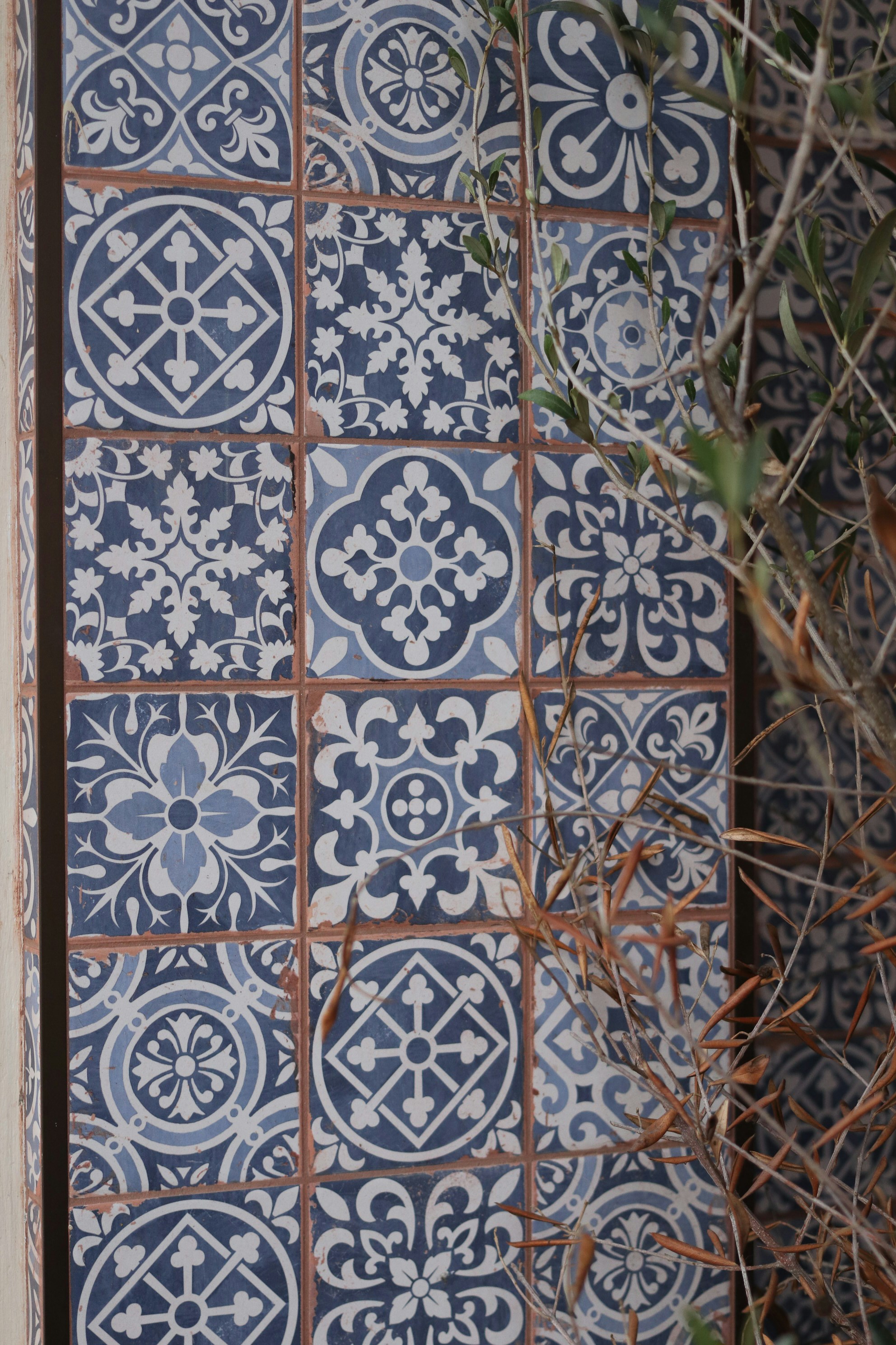 Photo by tanyabarrow