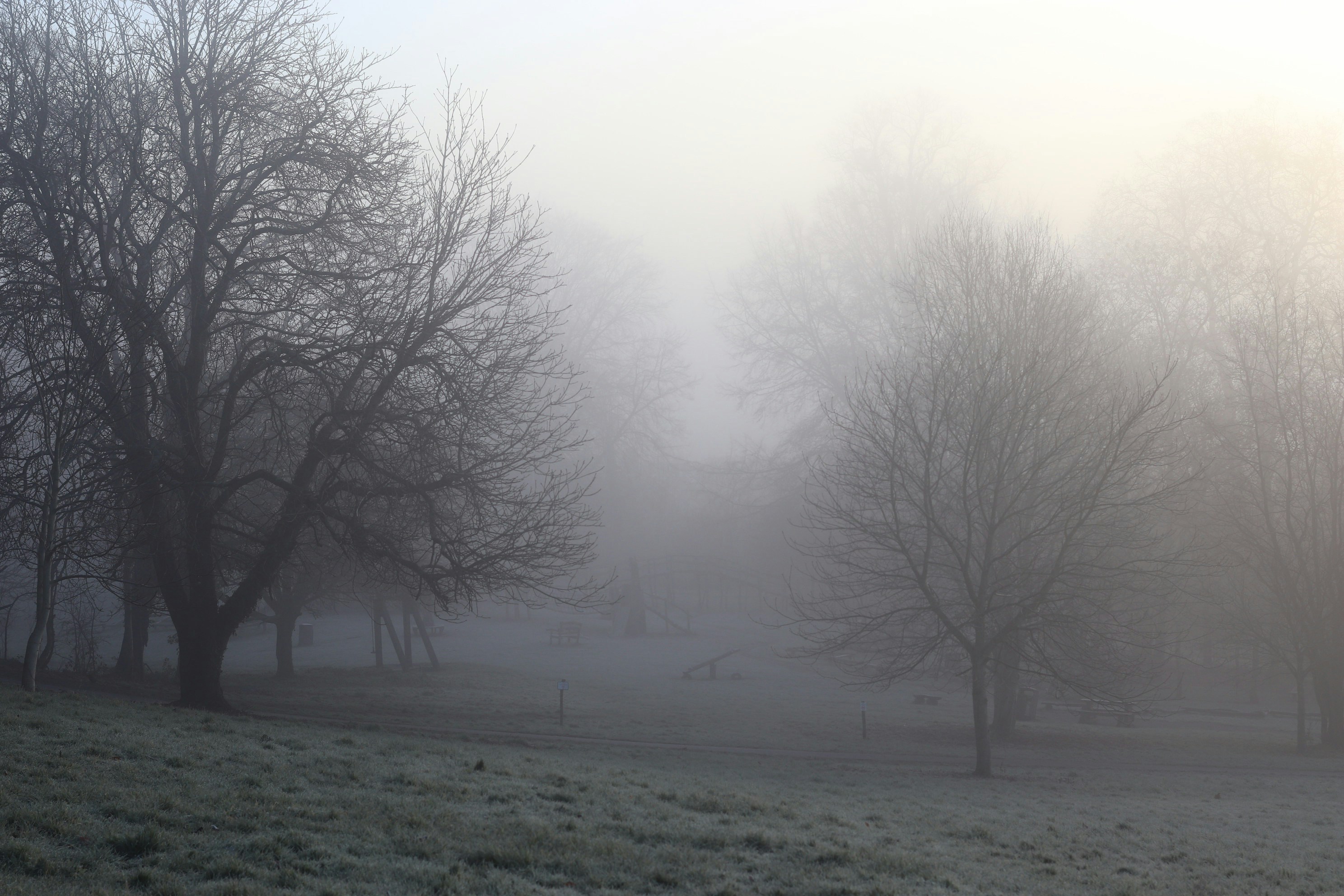 Photo by tanyabarrow